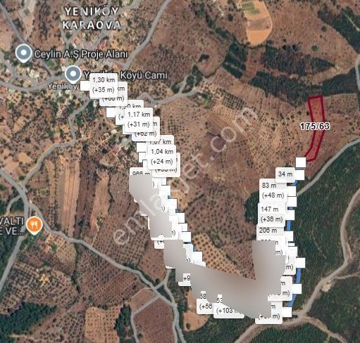 Bodrum Yeniköy (karaova)‘da Acil Satılık 4.668 M² Zeytinli Tarla - Görsel 4