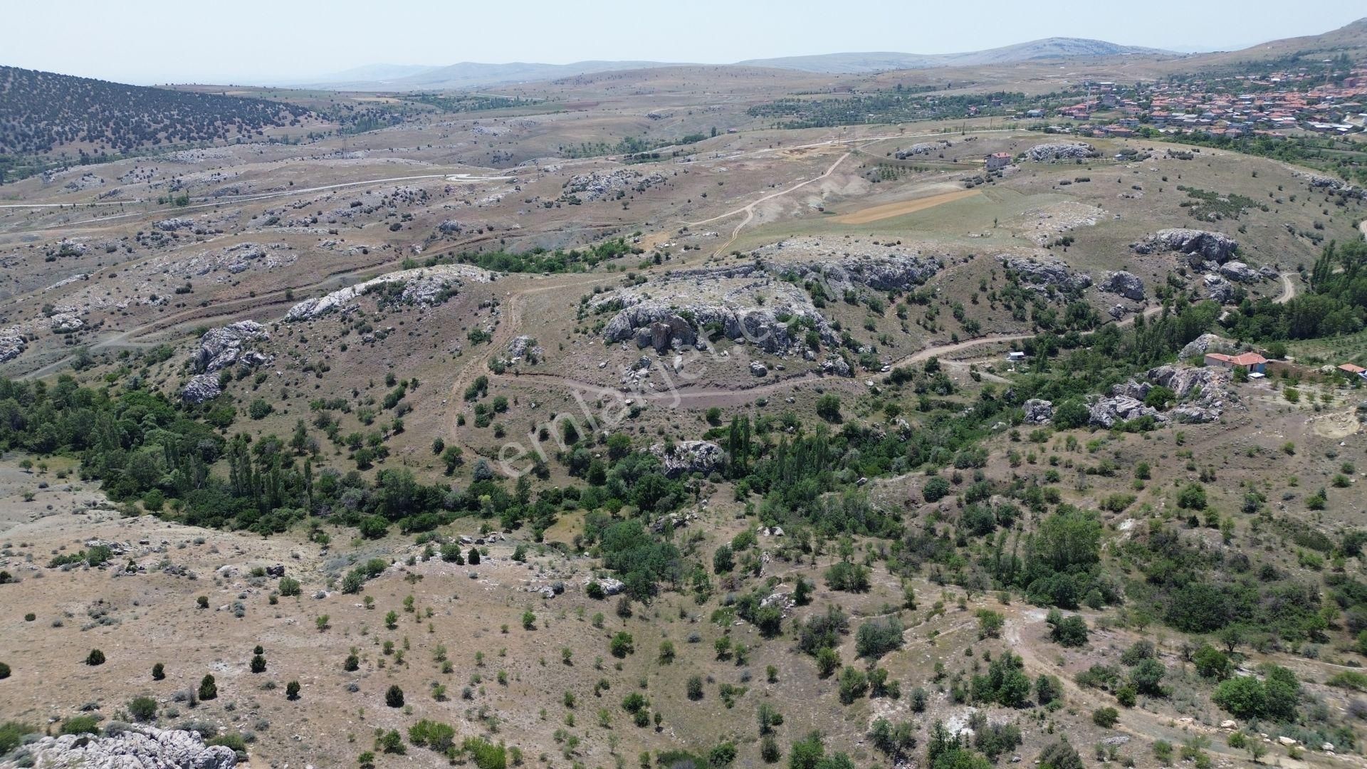 Konya / Meram / Karadiğin Mahallesinde 600 M² Müstakil Tapulu Bağ - Görsel 2