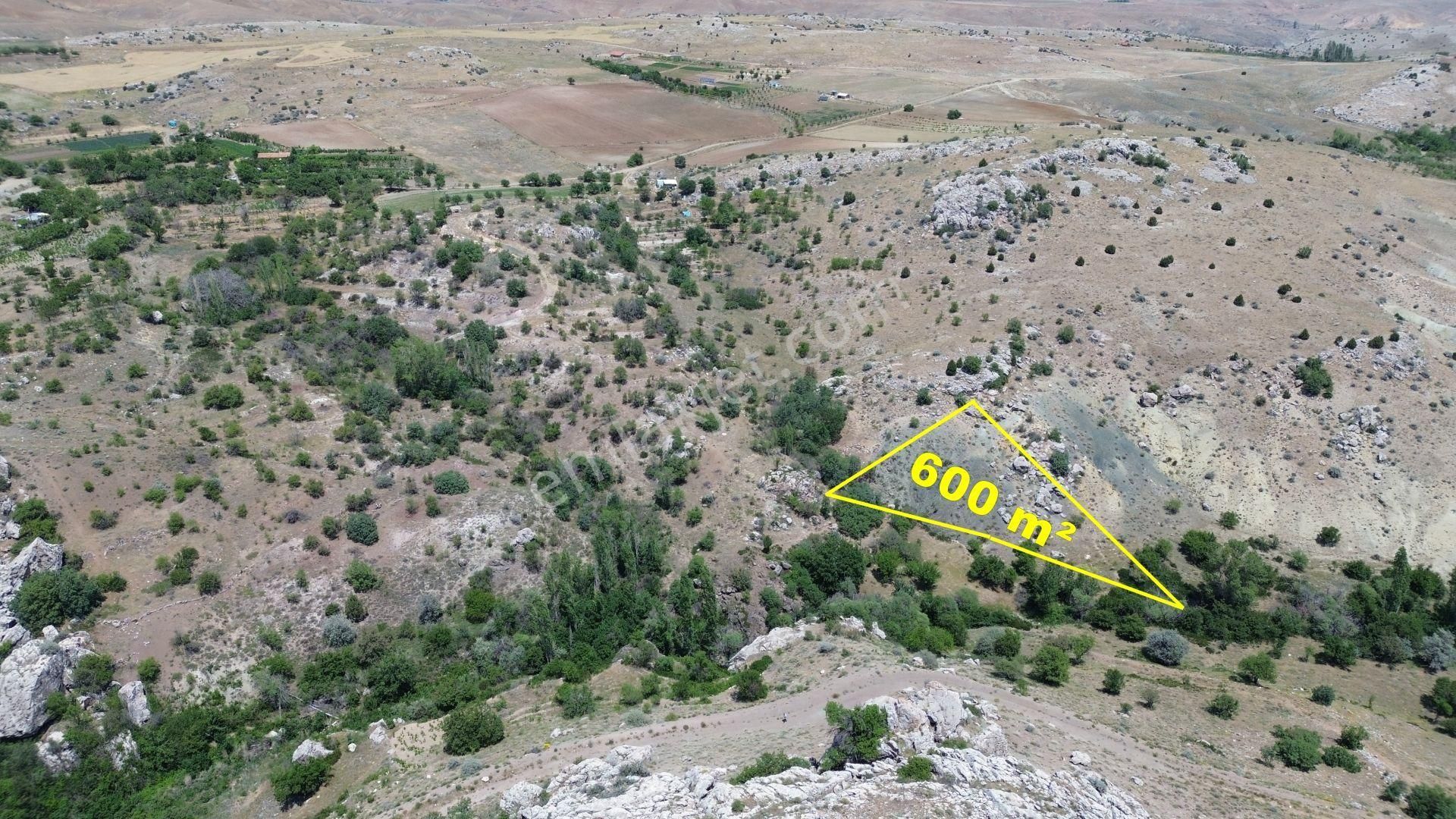 Konya / Meram / Karadiğin Mahallesinde 600 M² Müstakil Tapulu Bağ - Görsel 5