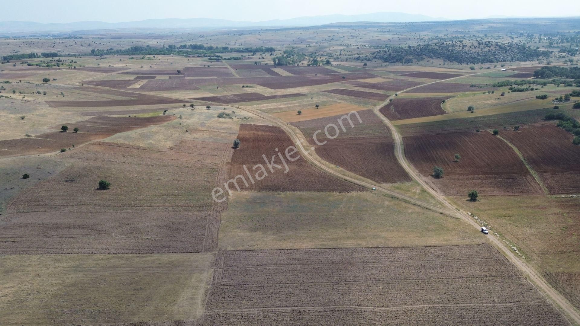 Konya / Akören / Tülce Mahallesinde 2.038 M² Müstakil Tapulu Tarla - Görsel 6