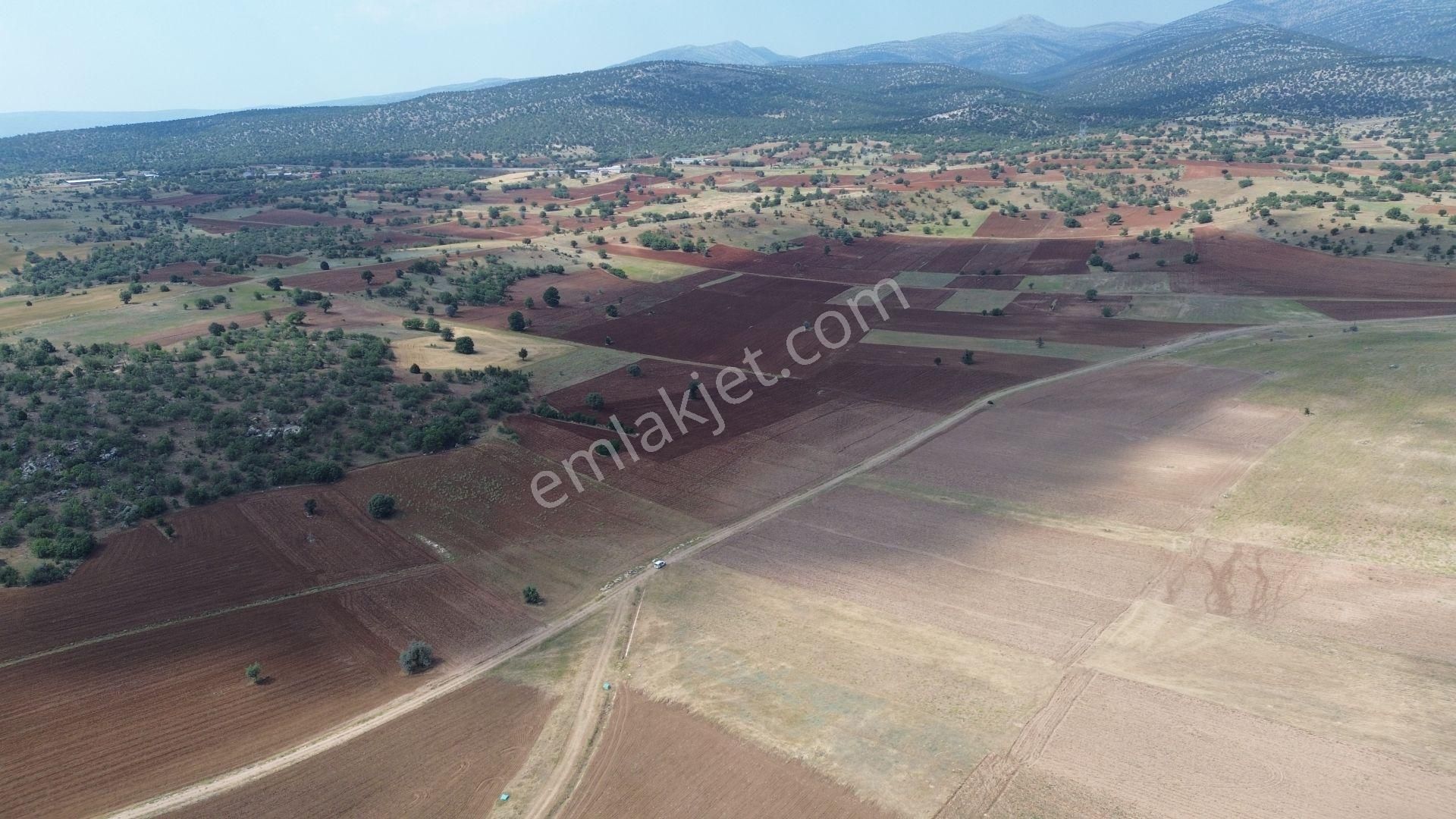 Konya / Akören / Tülce Mahallesinde 2.038 M² Müstakil Tapulu Tarla - Görsel 3