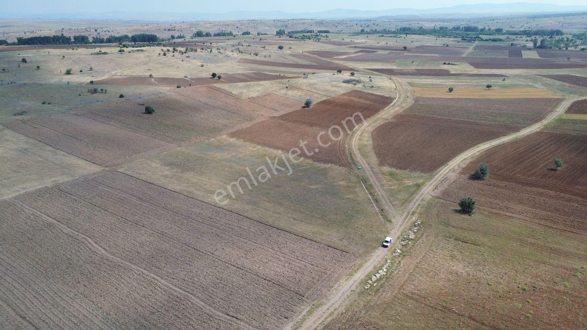 Konya / Akören / Tülce Mahallesinde 2.038 M² Müstakil Tapulu Tarla - Görsel 7