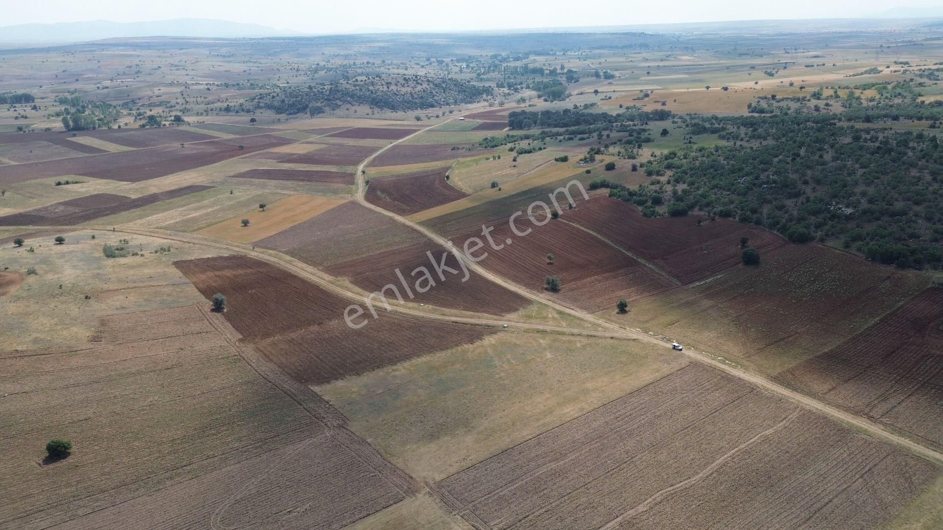 Konya / Akören / Tülce Mahallesinde 2.038 M² Müstakil Tapulu Tarla - Görsel 5
