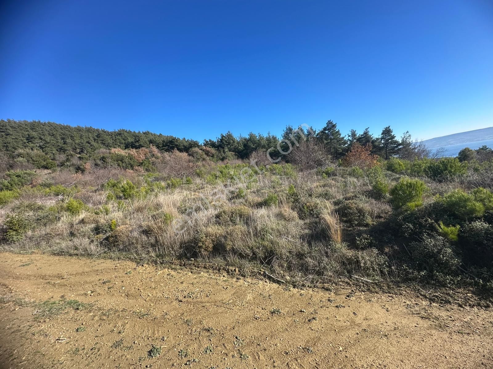 Deniz Ve Boğaz Manzaralı Fırsat Arazi-çok Acil!!! - Görsel 12