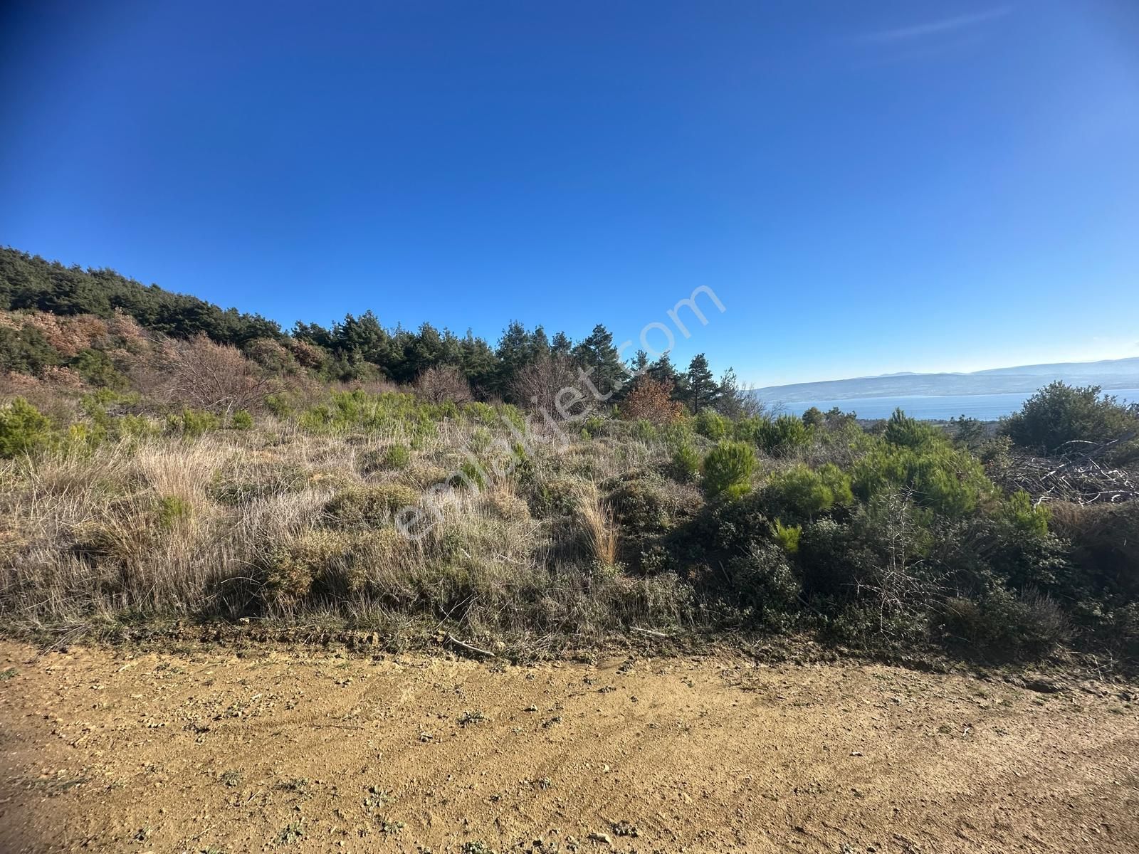 Deniz Ve Boğaz Manzaralı Fırsat Arazi-çok Acil!!! - Görsel 7