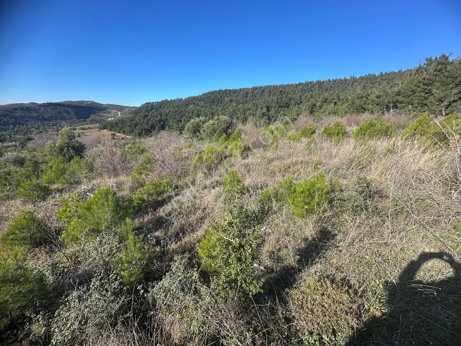 Deniz Ve Boğaz Manzaralı Fırsat Arazi-çok Acil!!! - Görsel 9