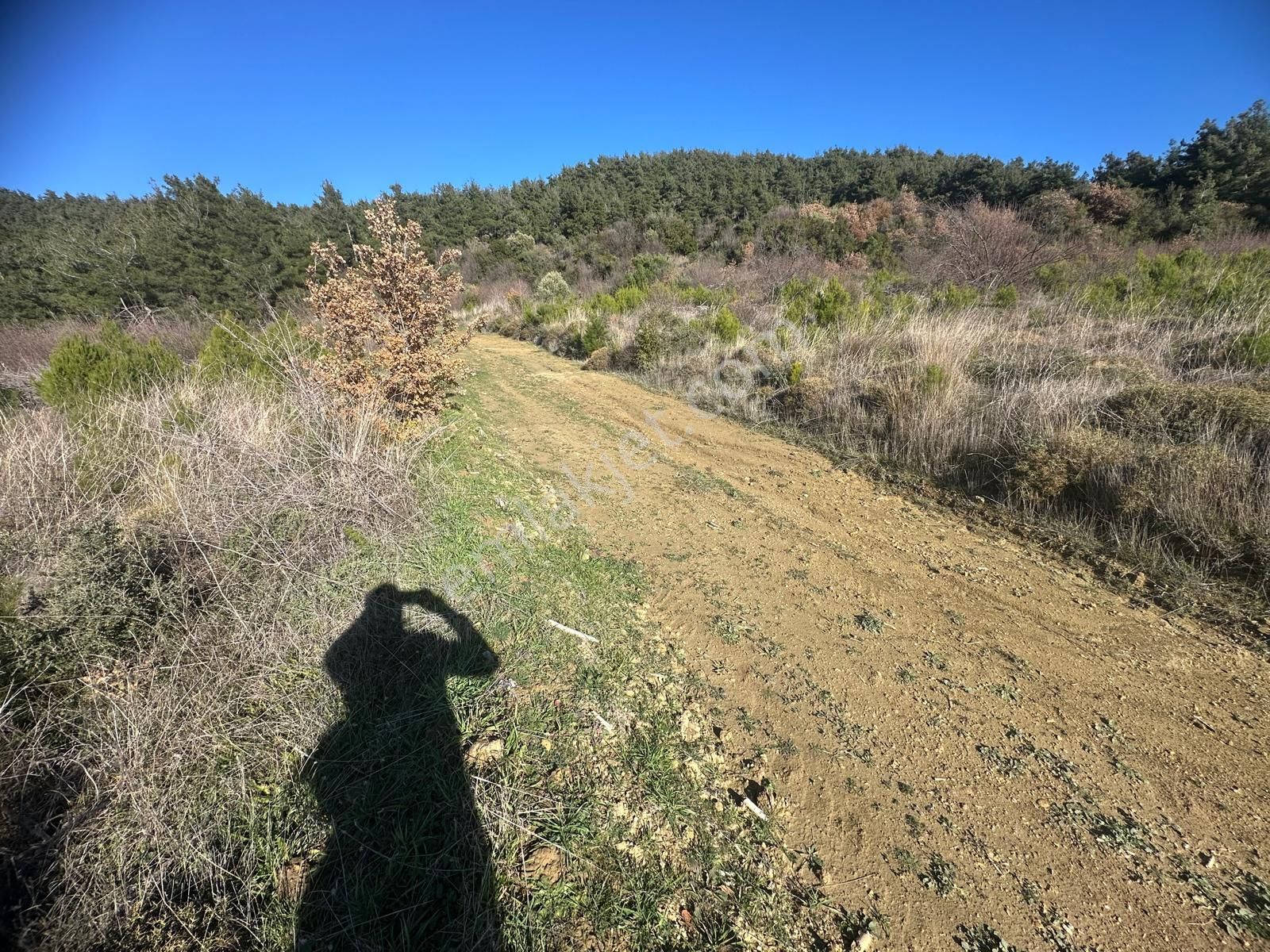 Deniz Ve Boğaz Manzaralı Fırsat Arazi-çok Acil!!! - Görsel 11