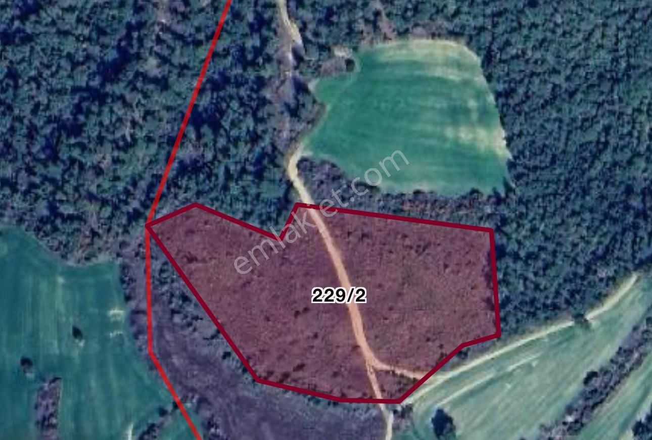 Deniz Ve Boğaz Manzaralı Fırsat Arazi-çok Acil!!! - Görsel 3