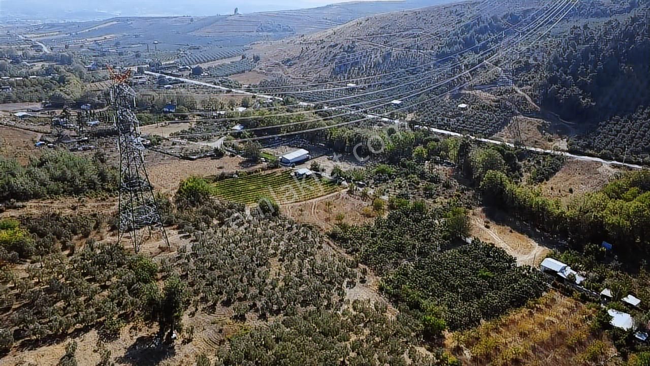 Tırpan Gayrimenkulden Dereköyde 2.600m2 Emsalsiz Satılık Arazi - Görsel 13