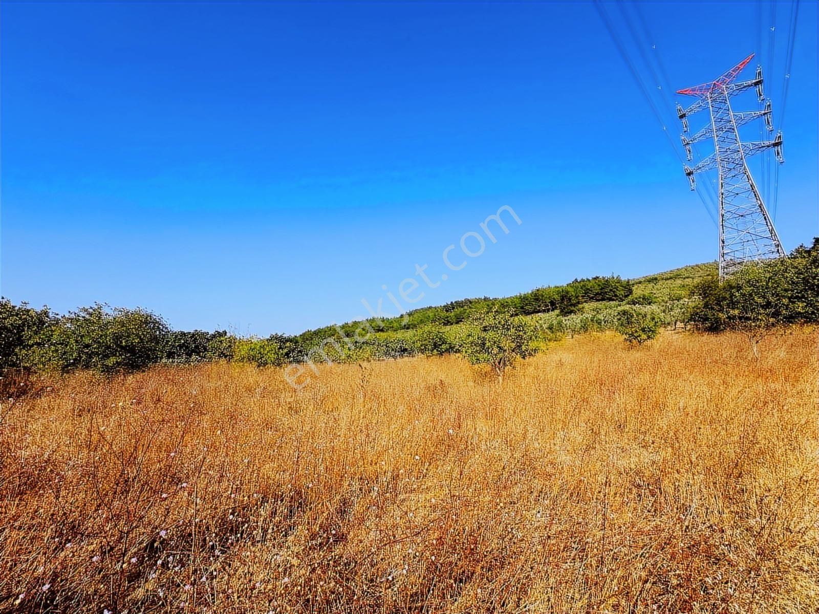 Tırpan Gayrimenkulden Dereköyde 2.600m2 Emsalsiz Satılık Arazi - Görsel 11