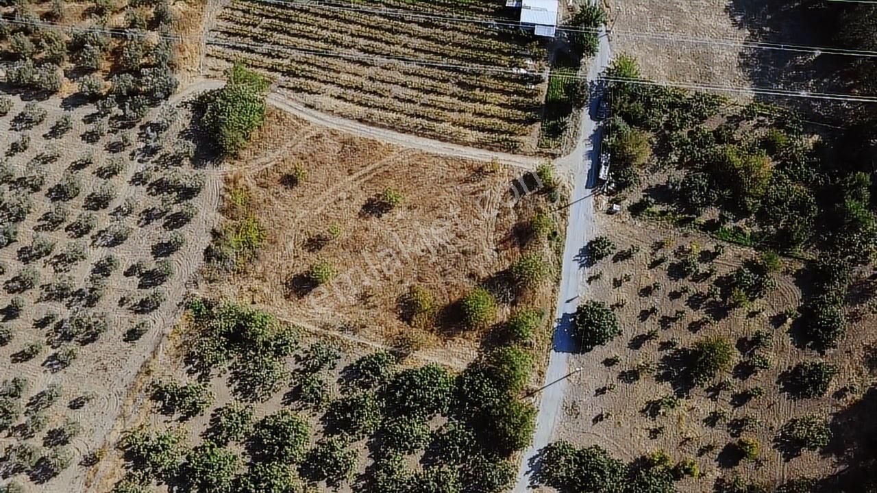 Tırpan Gayrimenkulden Dereköyde 2.600m2 Emsalsiz Satılık Arazi - Görsel 6