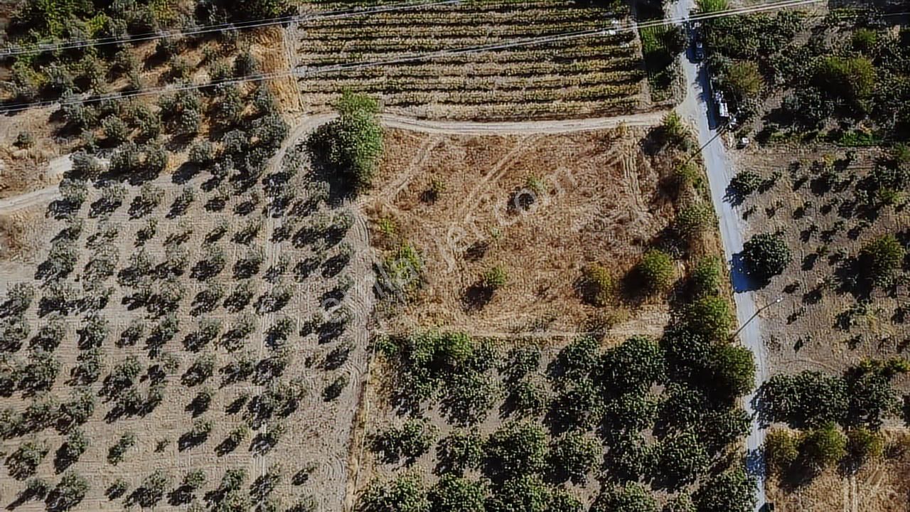 Tırpan Gayrimenkulden Dereköyde 2.600m2 Emsalsiz Satılık Arazi - Görsel 9