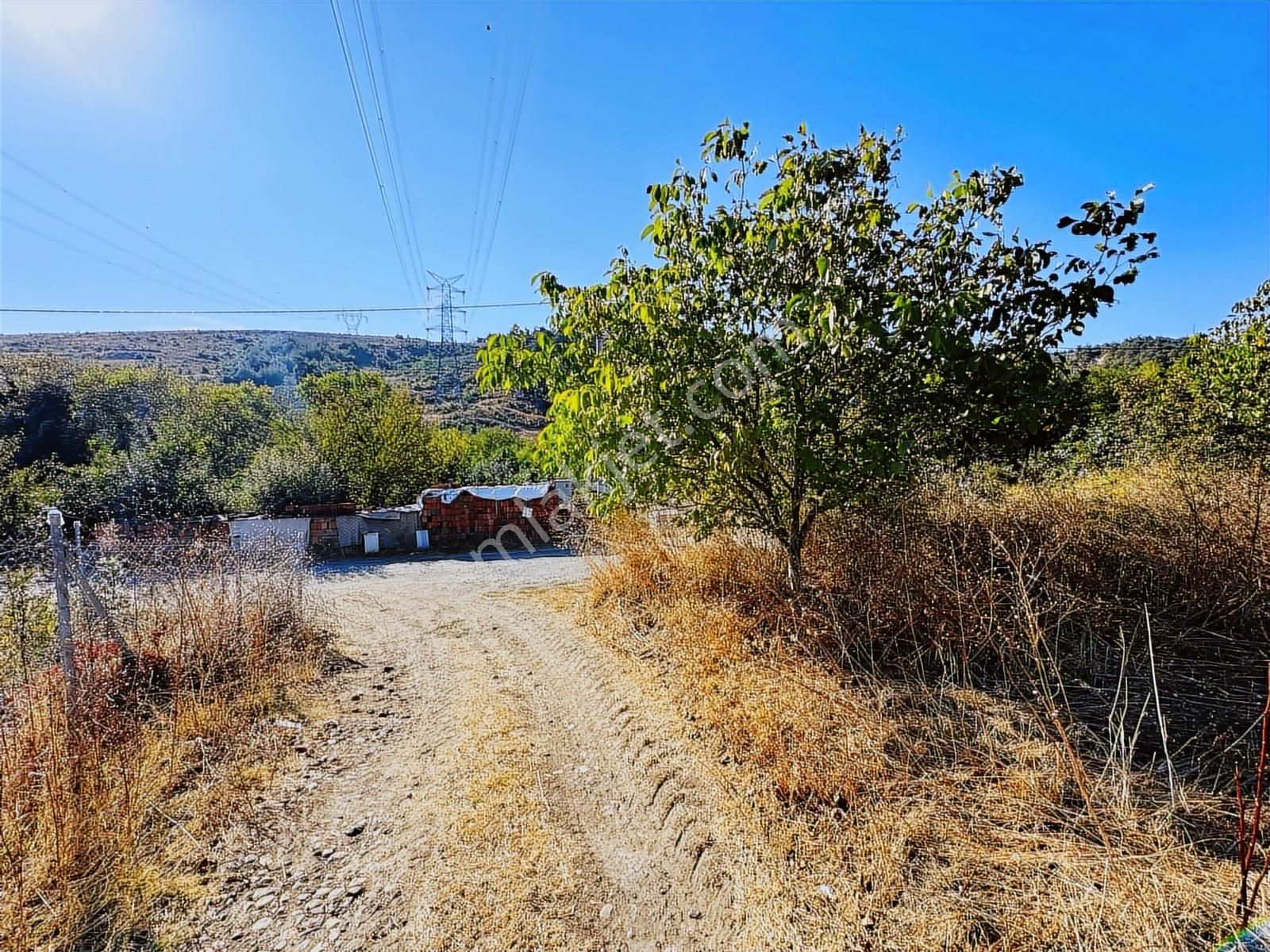 Tırpan Gayrimenkulden Dereköyde 2.600m2 Emsalsiz Satılık Arazi - Görsel 16