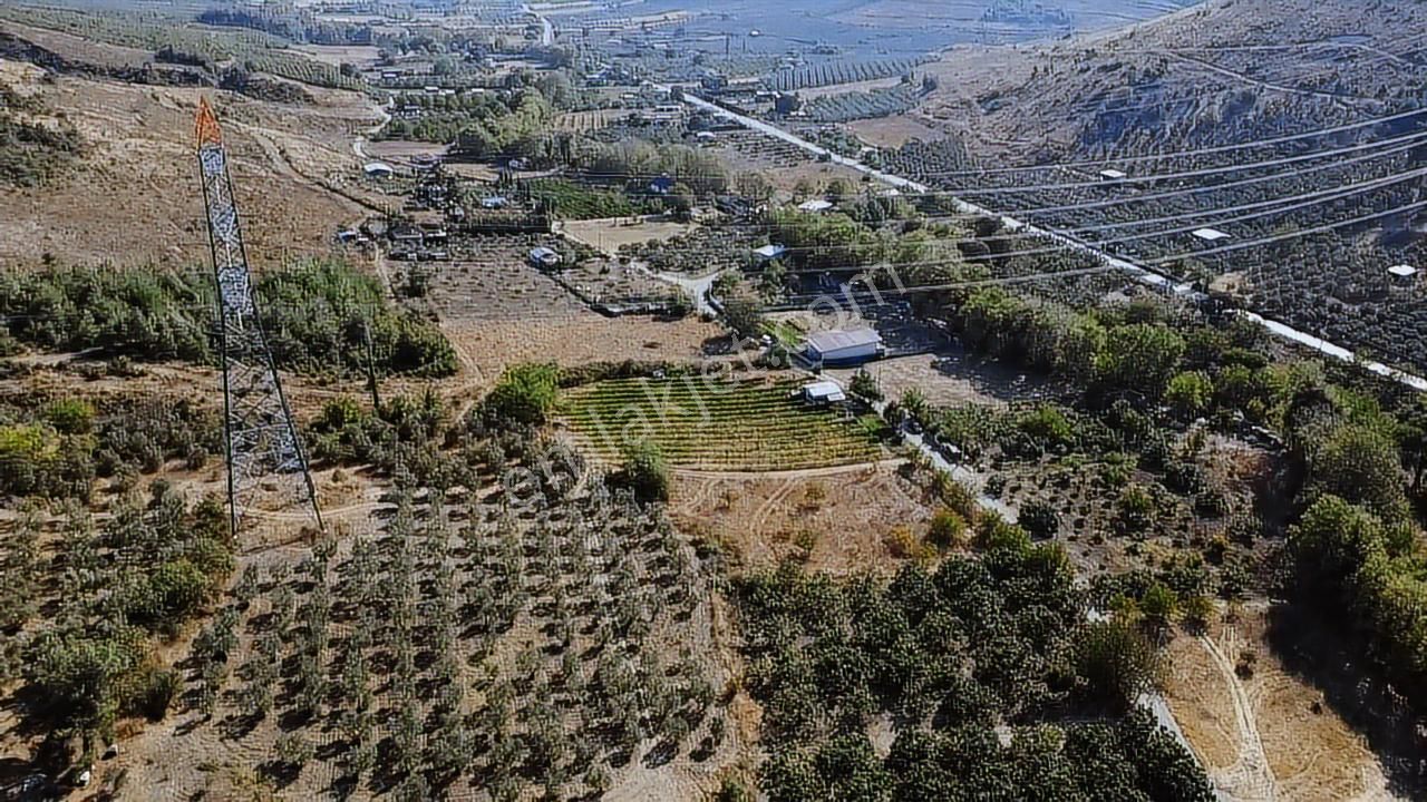 Tırpan Gayrimenkulden Dereköyde 2.600m2 Emsalsiz Satılık Arazi - Görsel 15