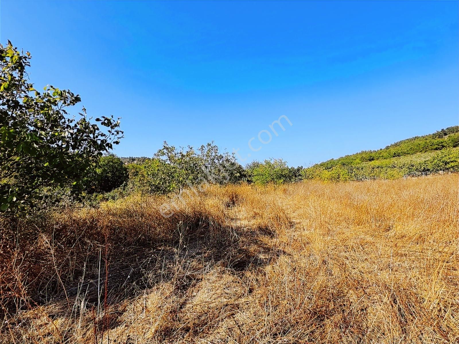 Tırpan Gayrimenkulden Dereköyde 2.600m2 Emsalsiz Satılık Arazi - Görsel 5
