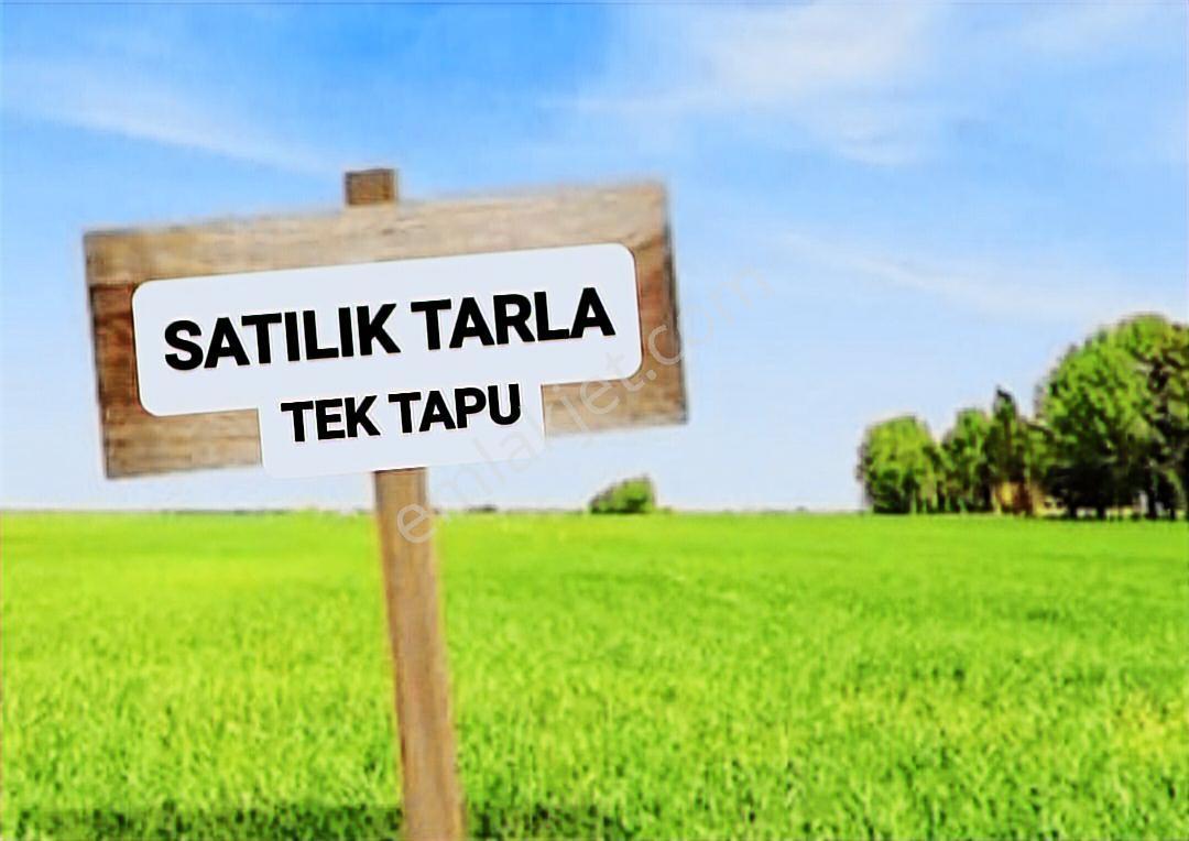 Murat Türkmenden Kalecik_eskiköyde Tek_ve_kök_tapu 26dönüm_tarla
