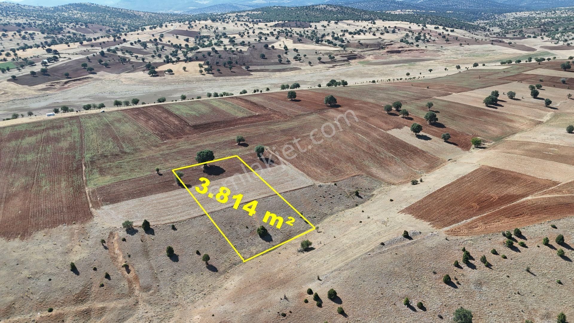Konya / Güneysınır / Kurukavak 3.814 M² Müstakil Tarla - Görsel 3