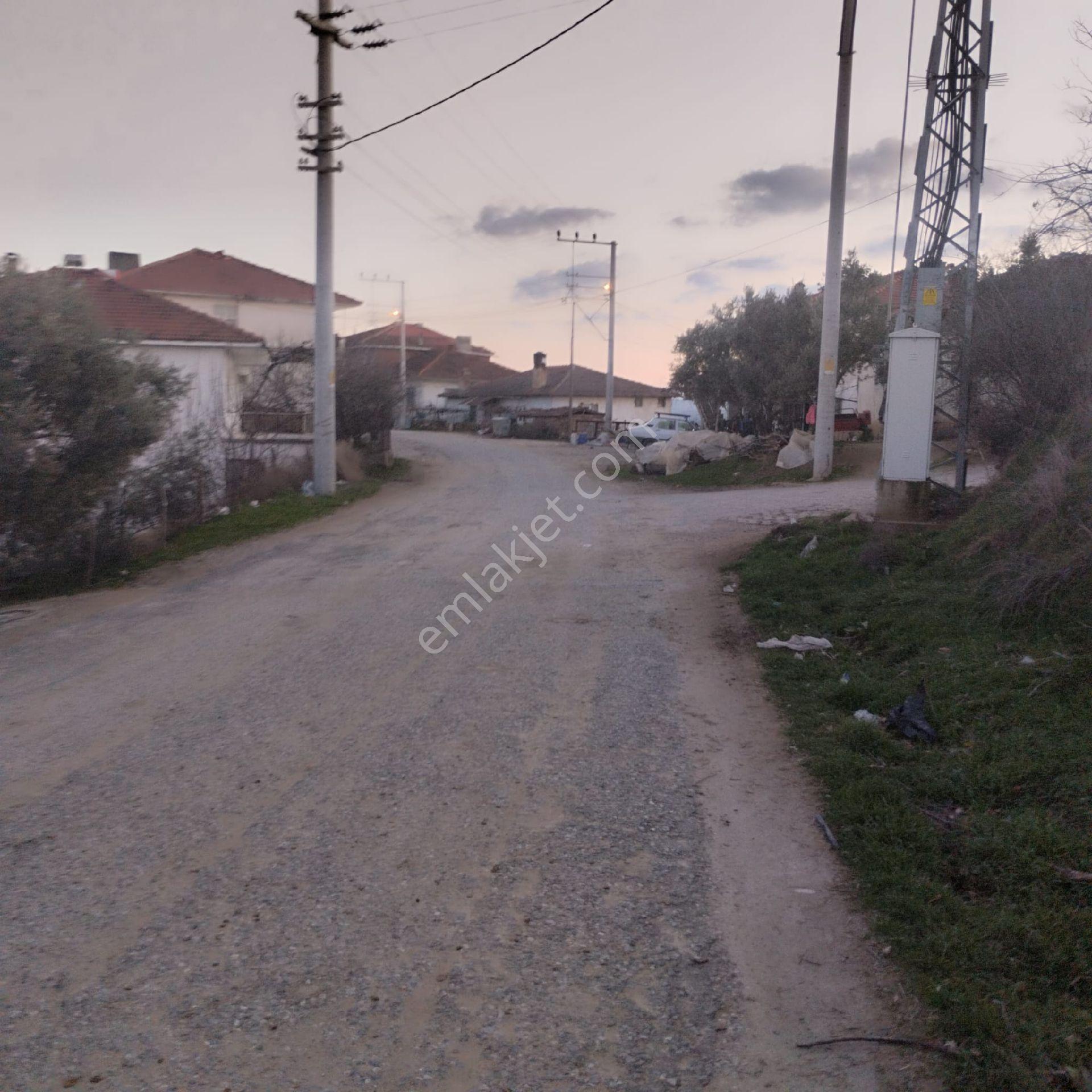 Satılık Zeytinlik - Görsel 35
