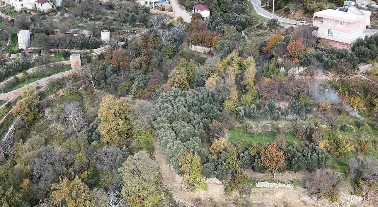 Alanya Bademağacı Fırsat Tarla - Görsel 5