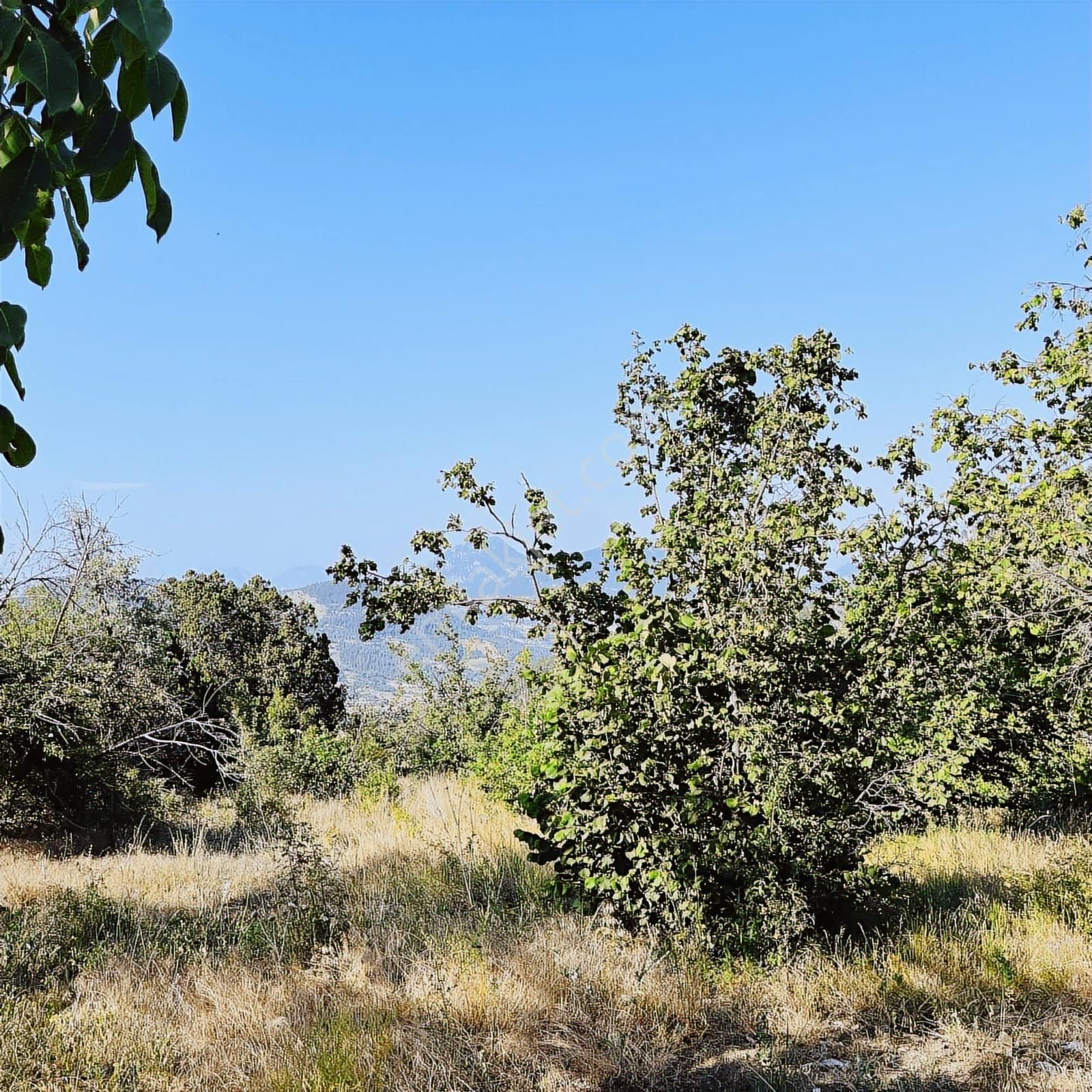 Geyıkbayırın'da Taş Evlı Muhteşem Manzaralı Satılık Arsa - Görsel 9