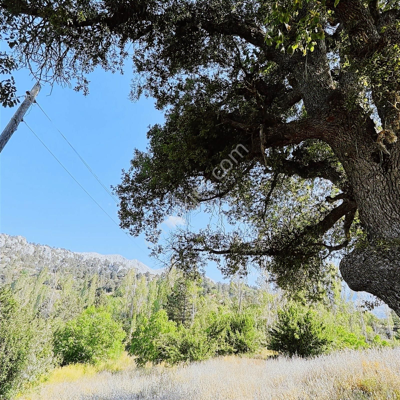 Geyıkbayırın'da Taş Evlı Muhteşem Manzaralı Satılık Arsa - Görsel 2