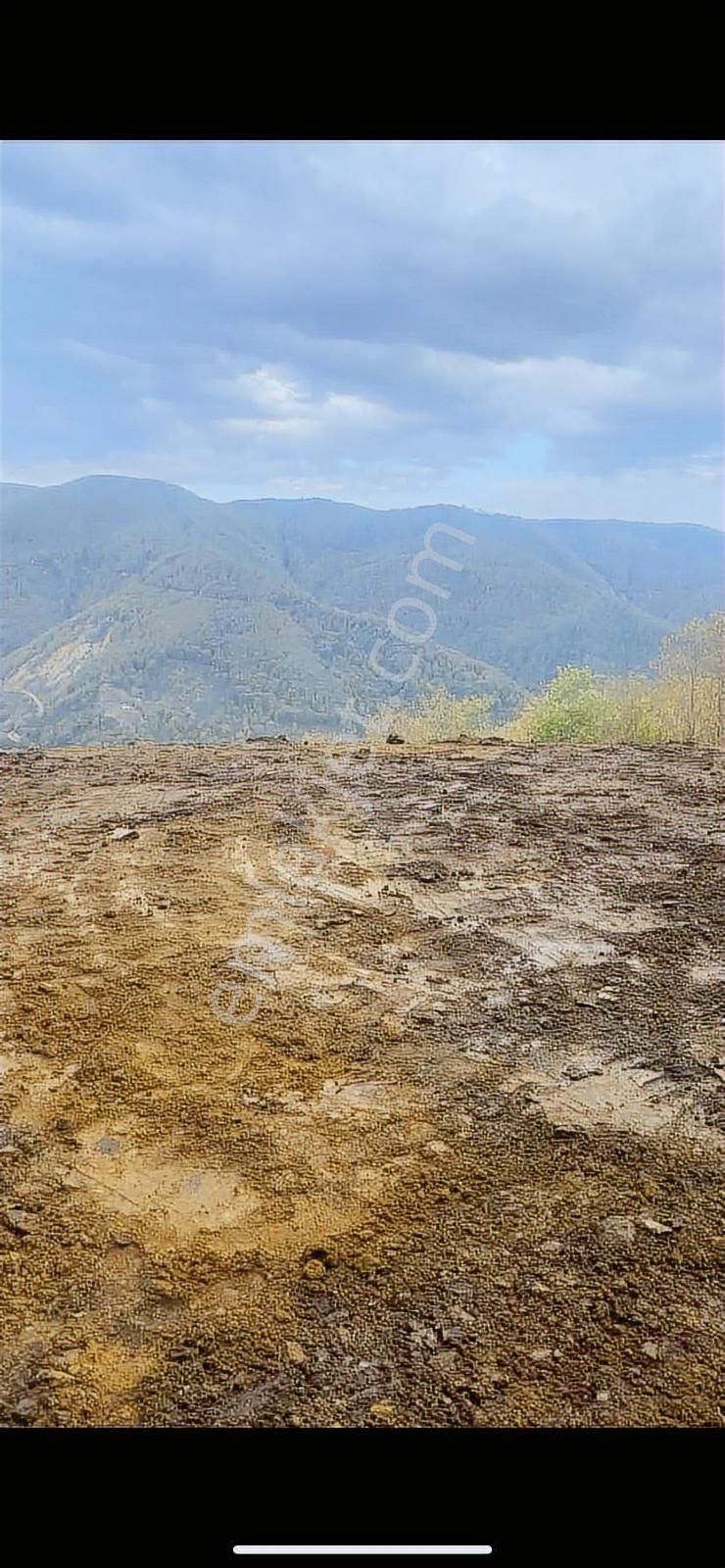 Zafer Emlaktan Satılık Tarla - Görsel 4