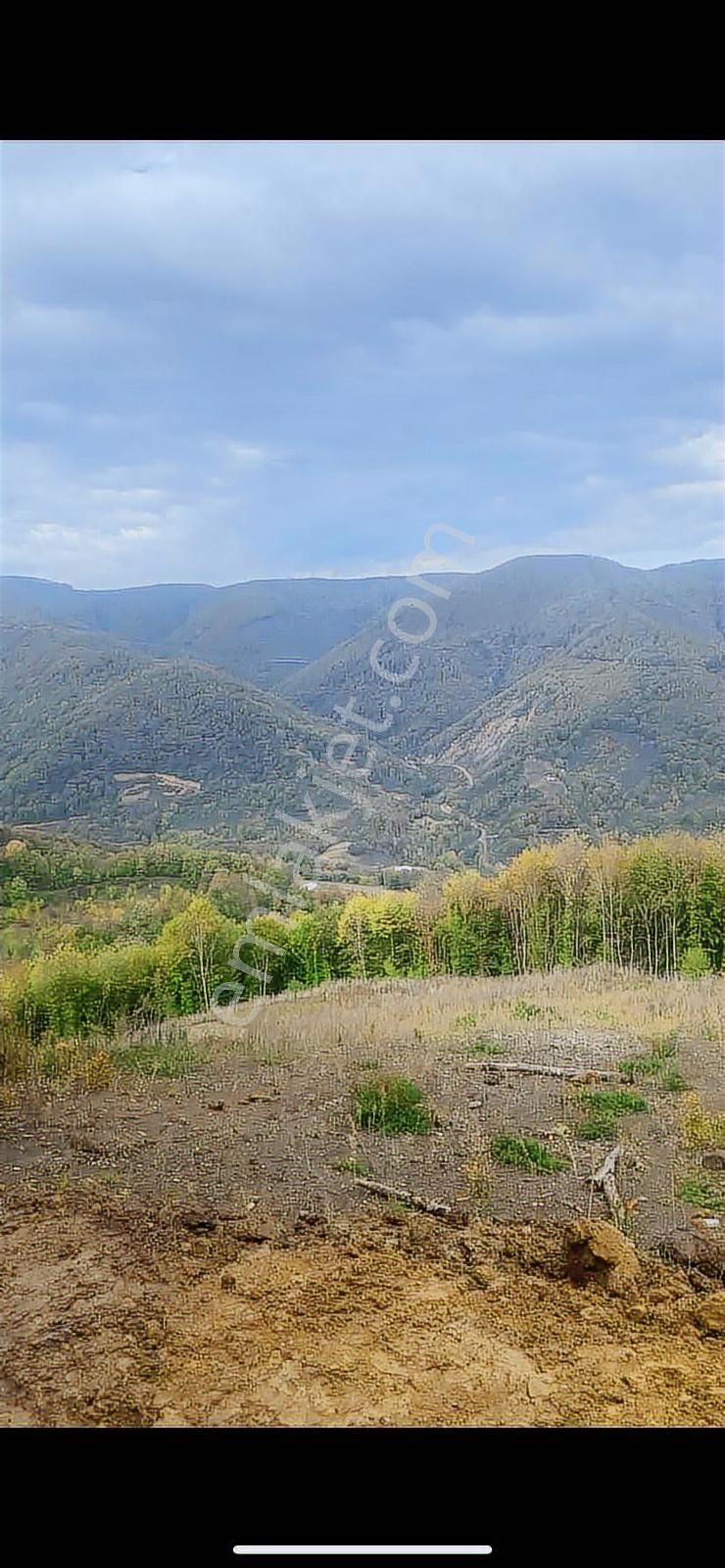 Zafer Emlaktan Satılık Tarla