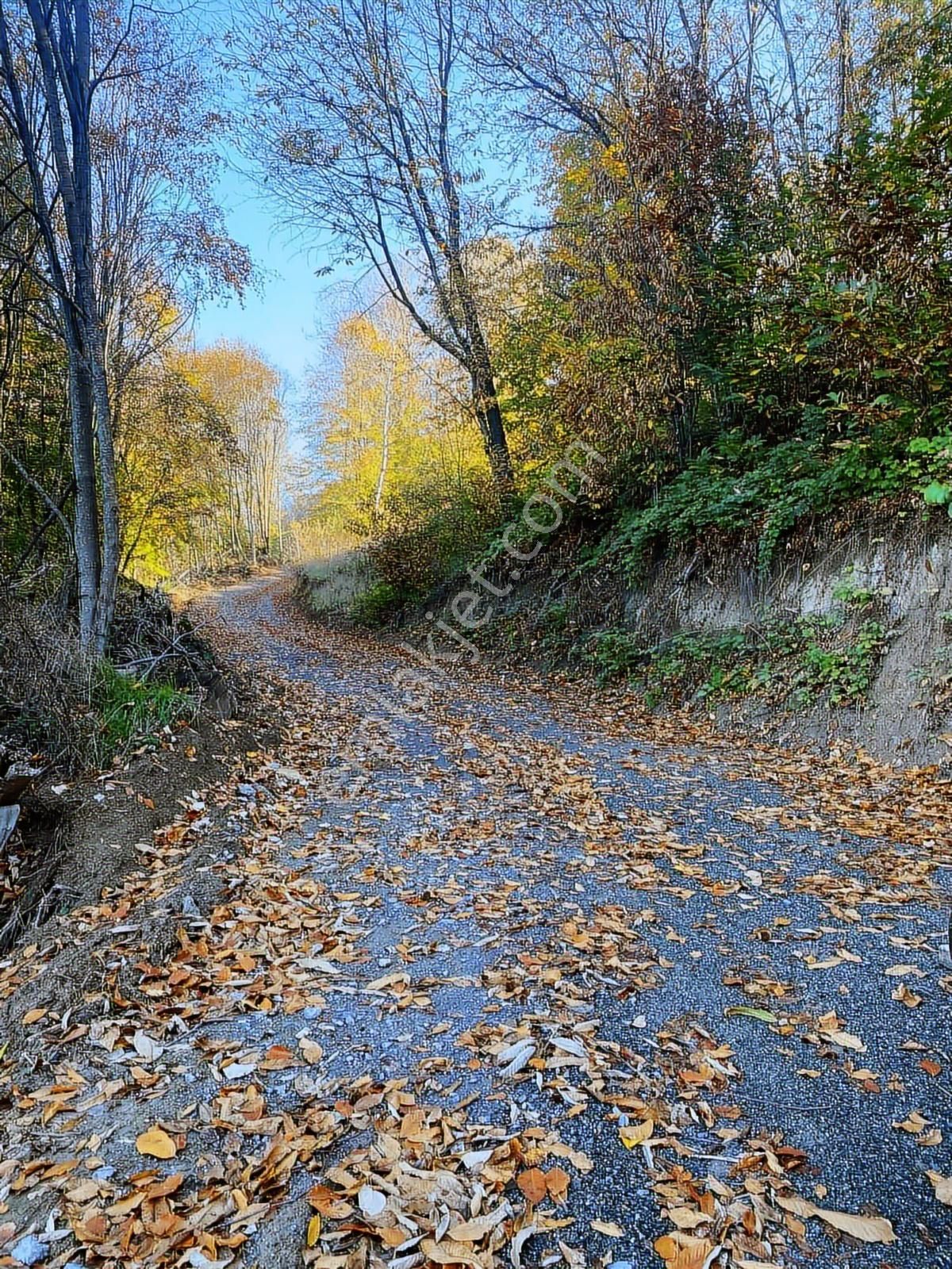 Zafer Emlaktan Satılık Tarla - Görsel 3