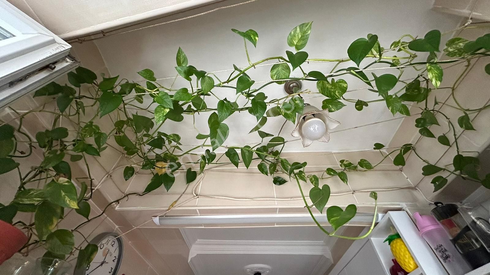 Japon Pazarı Civarı 2+1 Masrafsız Satılık Daire Fırsatı ‼ - Görsel 17