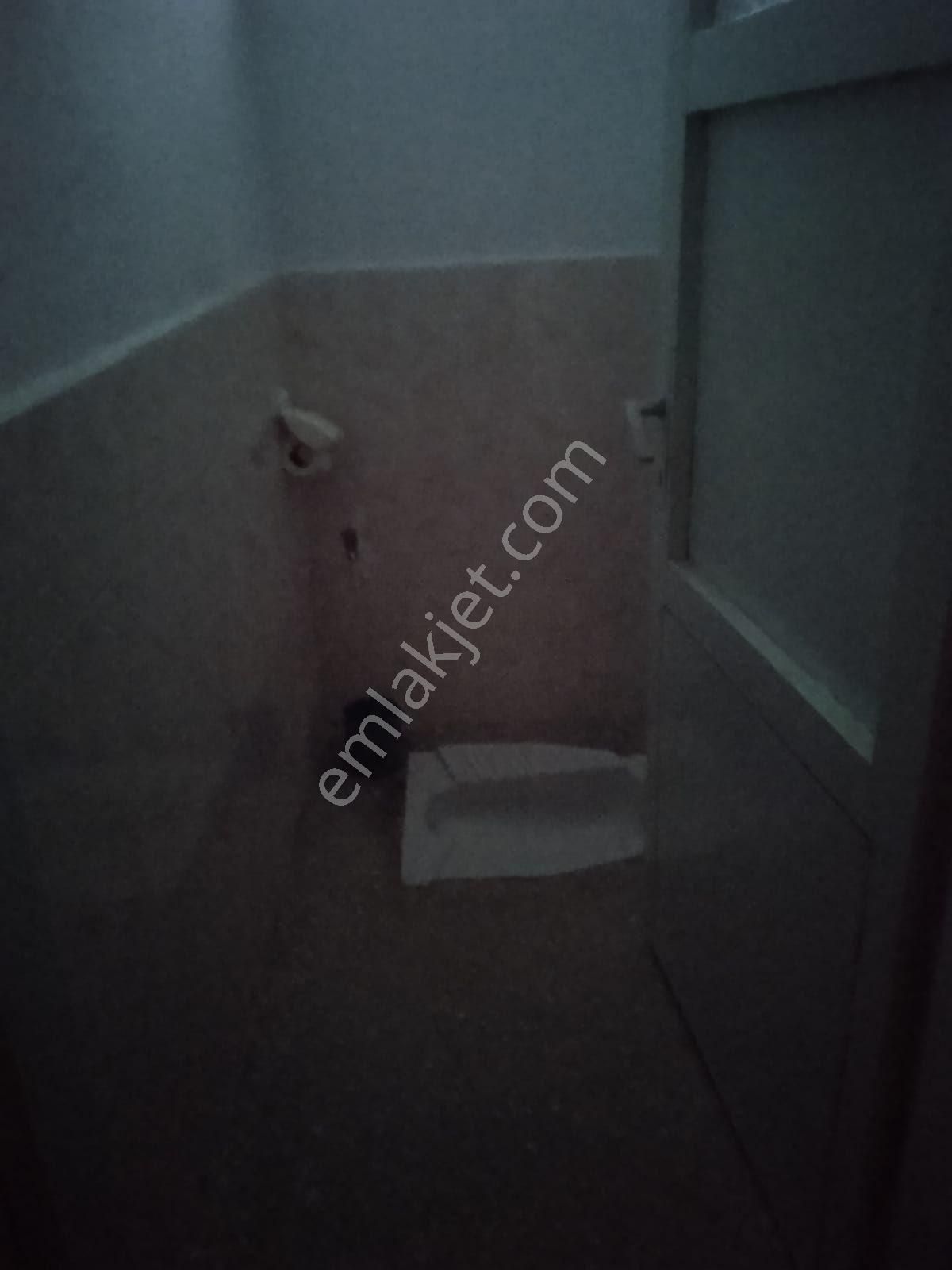 Satılık Köy Evi - Görsel 6