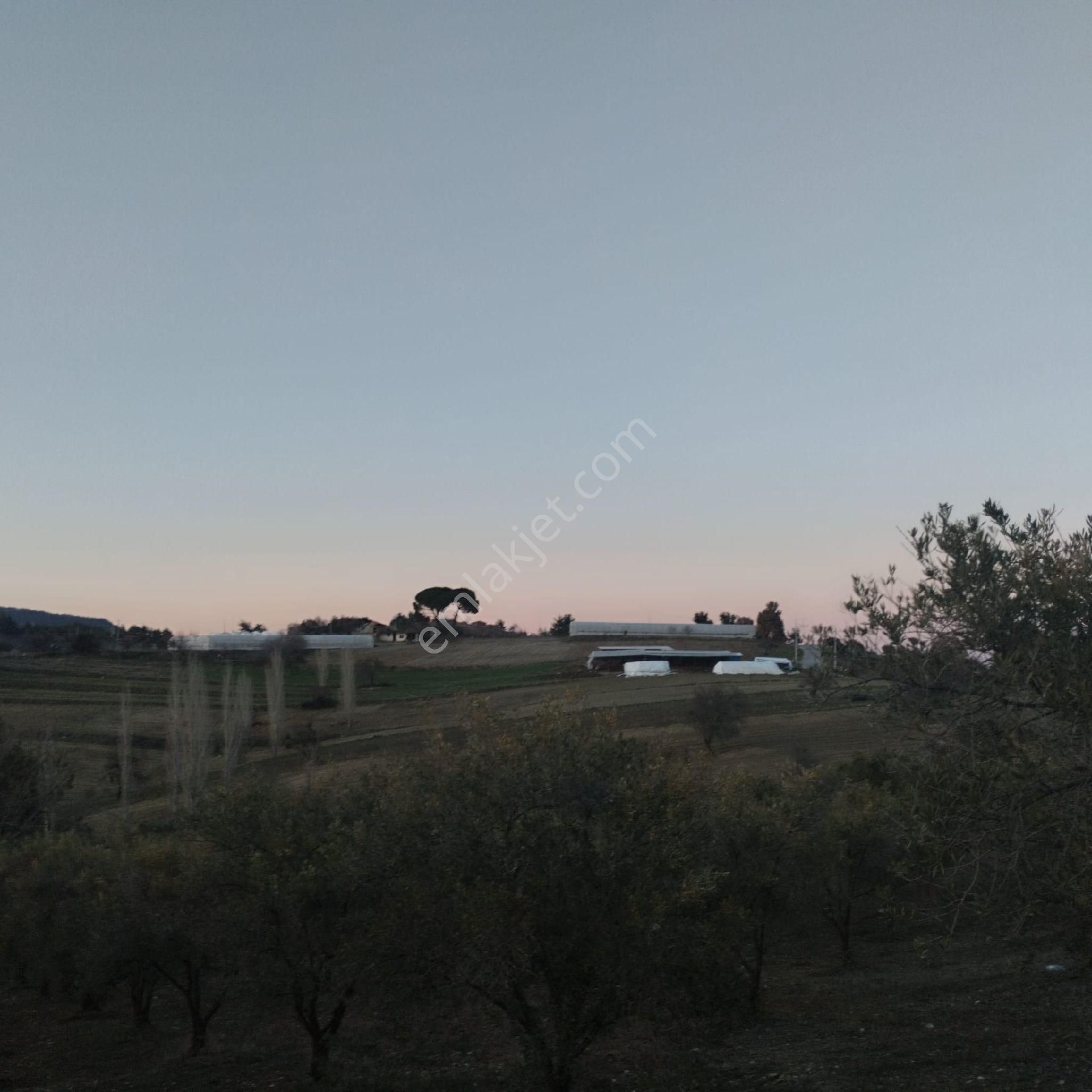 Satılık Köy Evi - Görsel 12