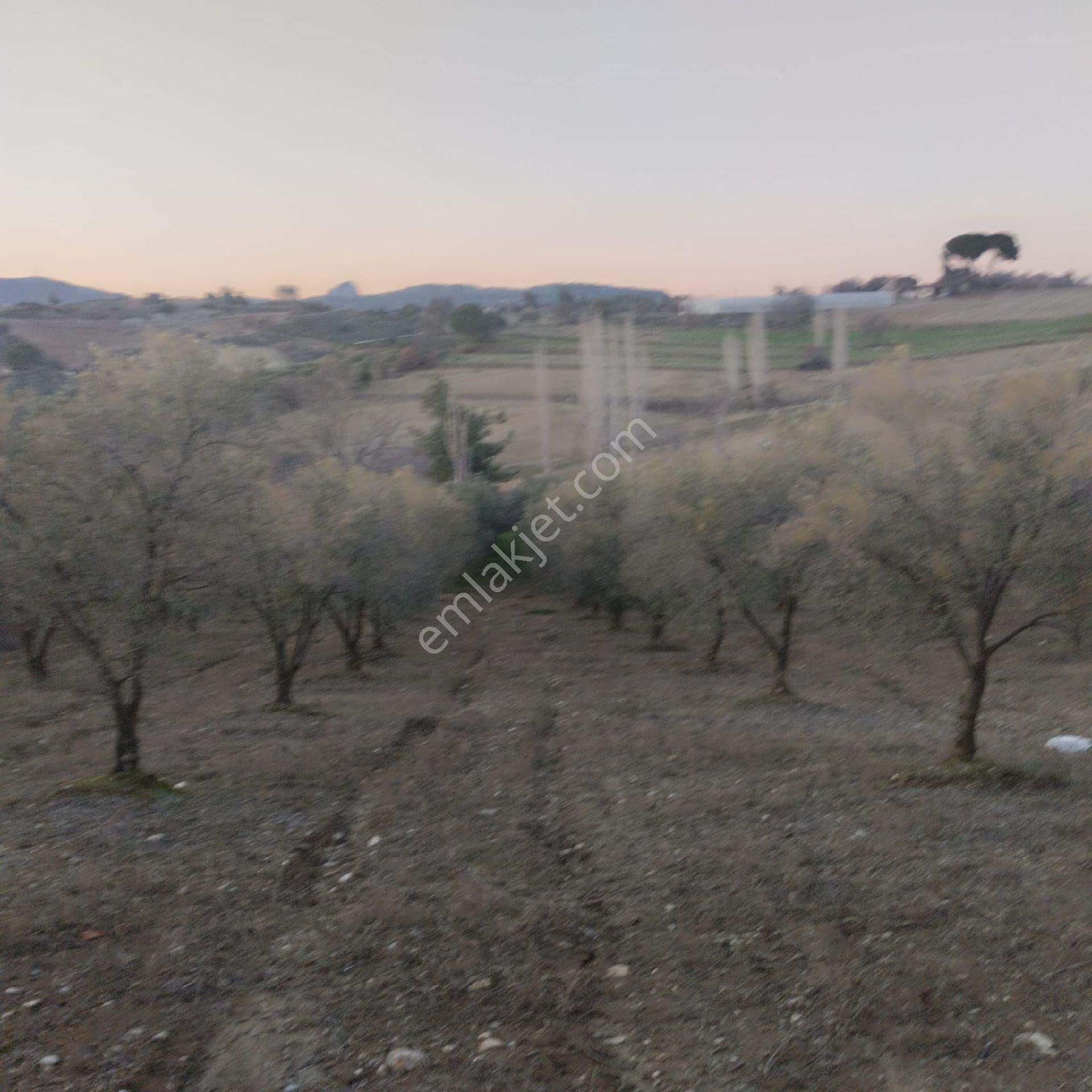 Satılık Köy Evi - Görsel 7