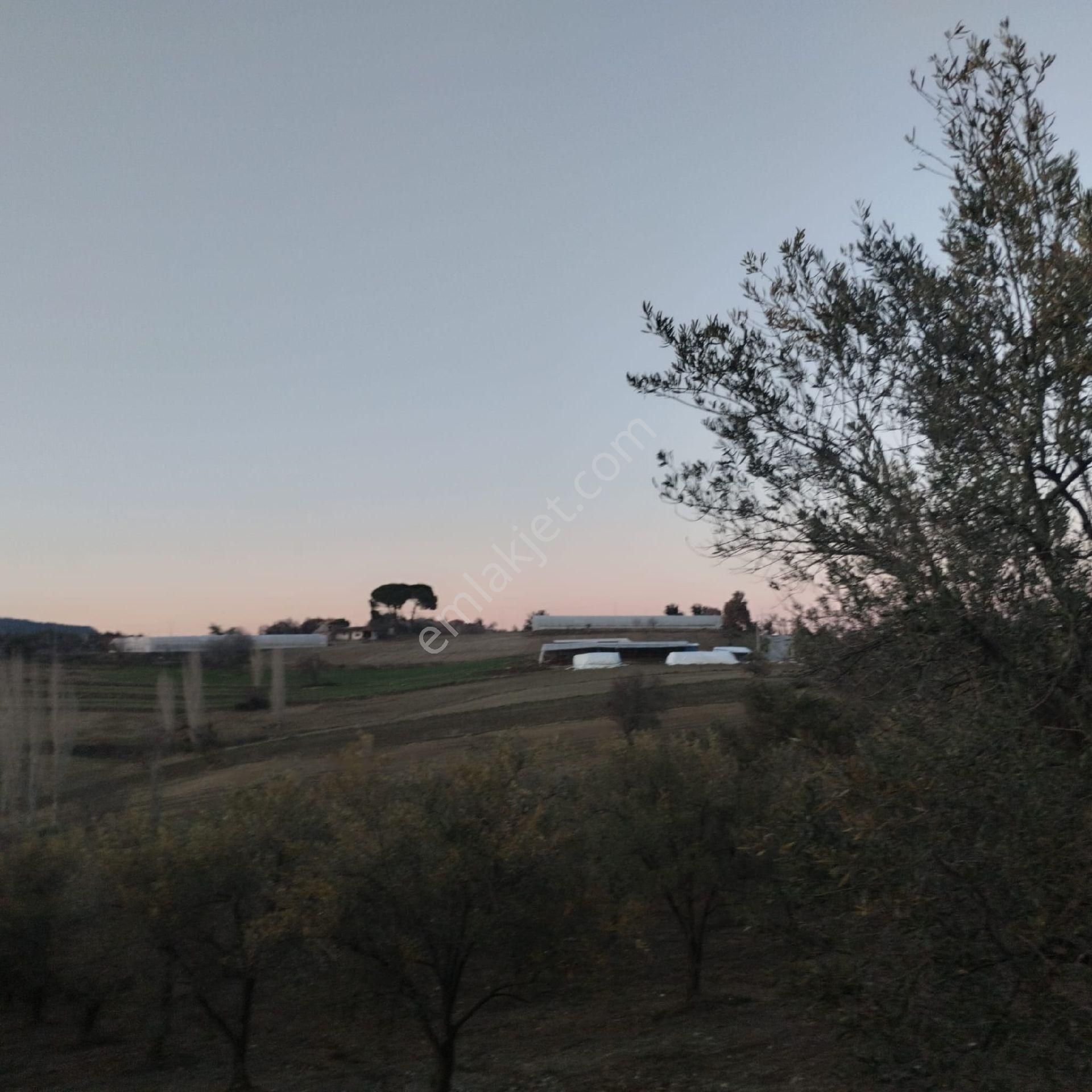 Satılık Köy Evi - Görsel 9