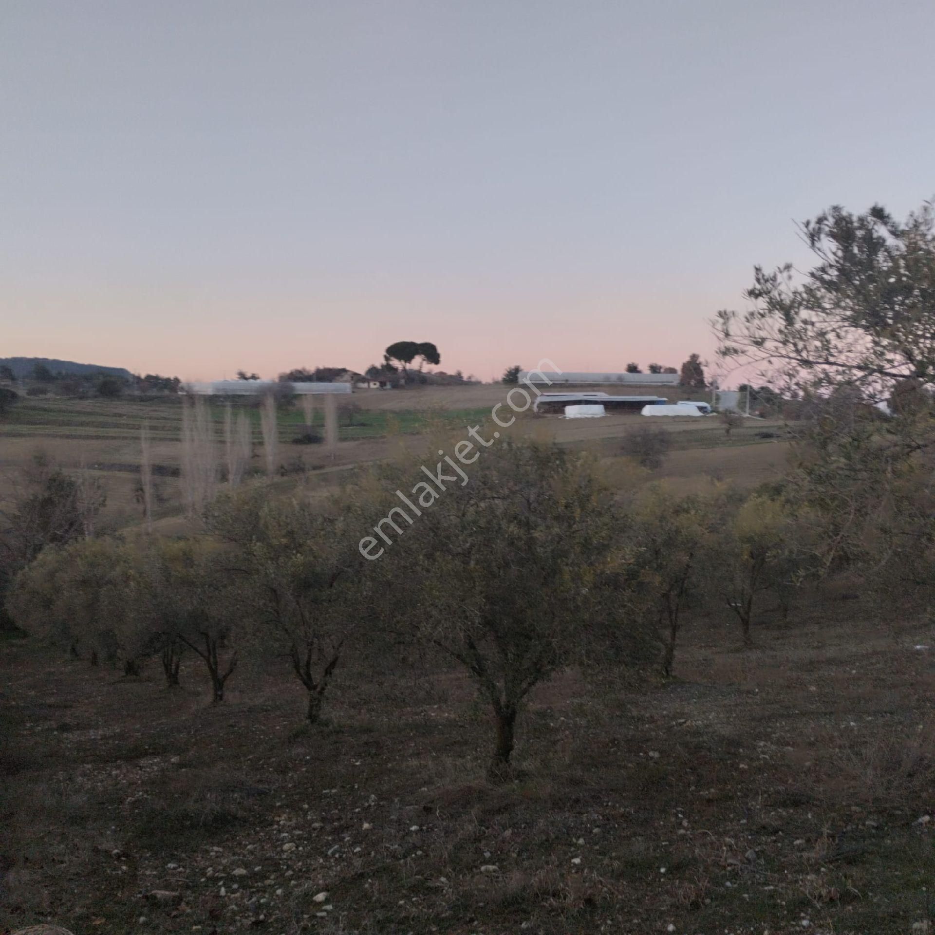 Satılık Köy Evi - Görsel 13