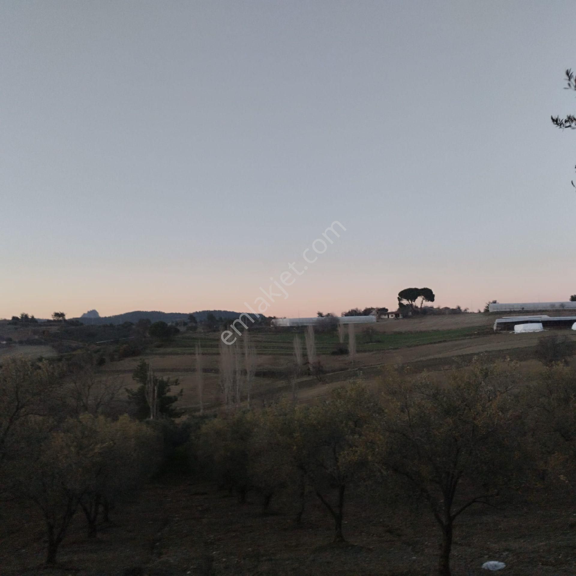 Satılık Köy Evi - Görsel 10