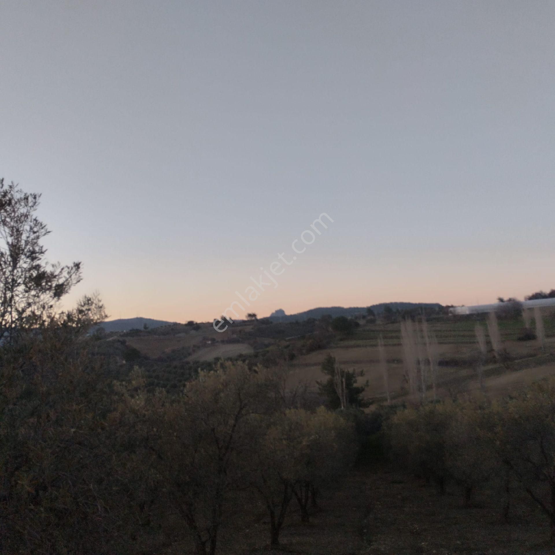 Satılık Köy Evi - Görsel 8