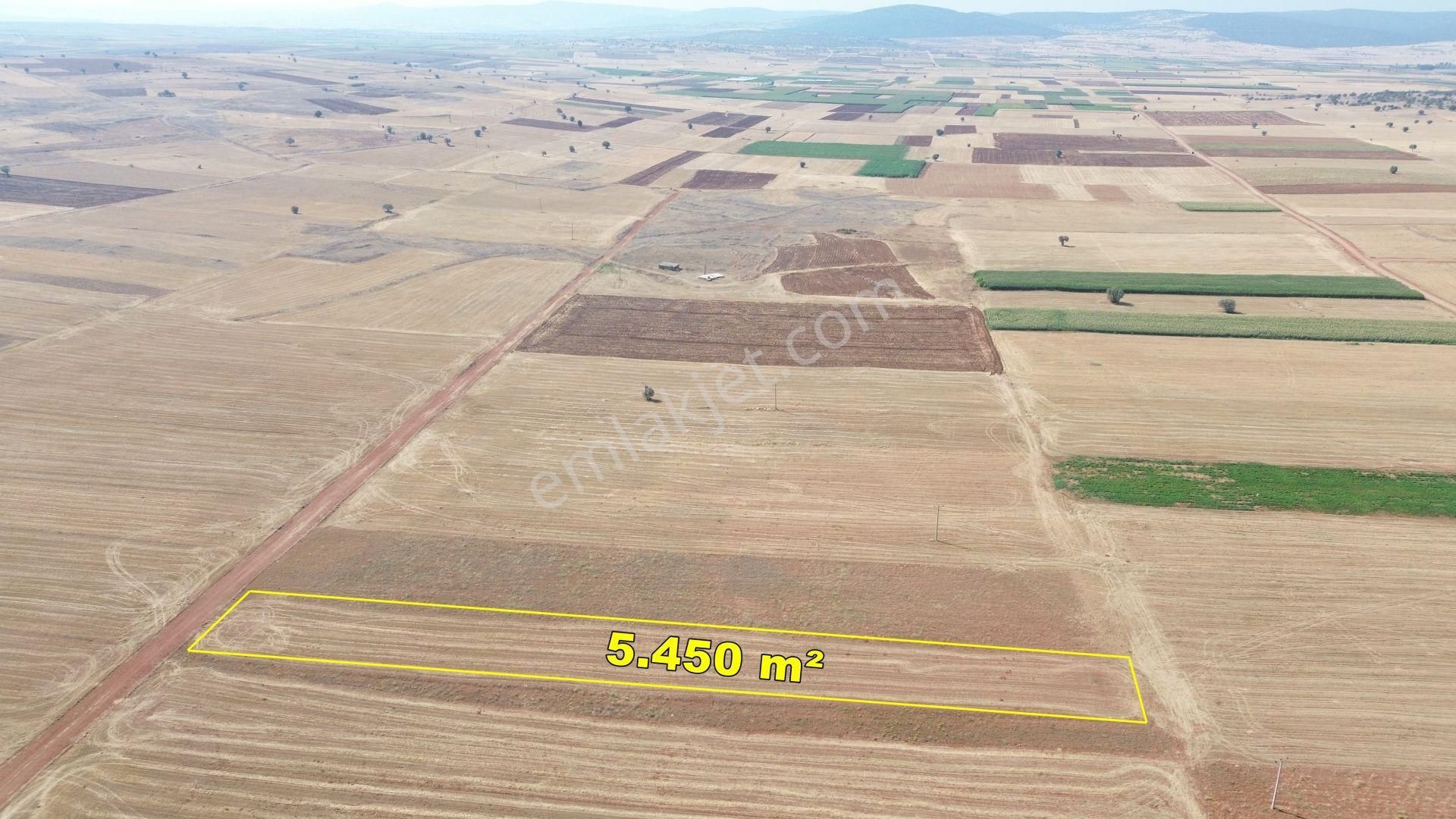 sulanır Tarla 5450 M² / Konya / Akören / Hacılar - Görsel 9