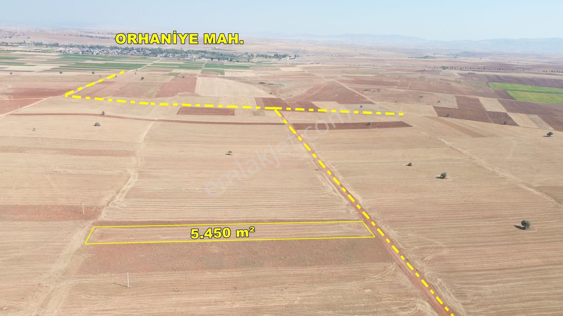 sulanır Tarla 5450 M² / Konya / Akören / Hacılar - Görsel 5