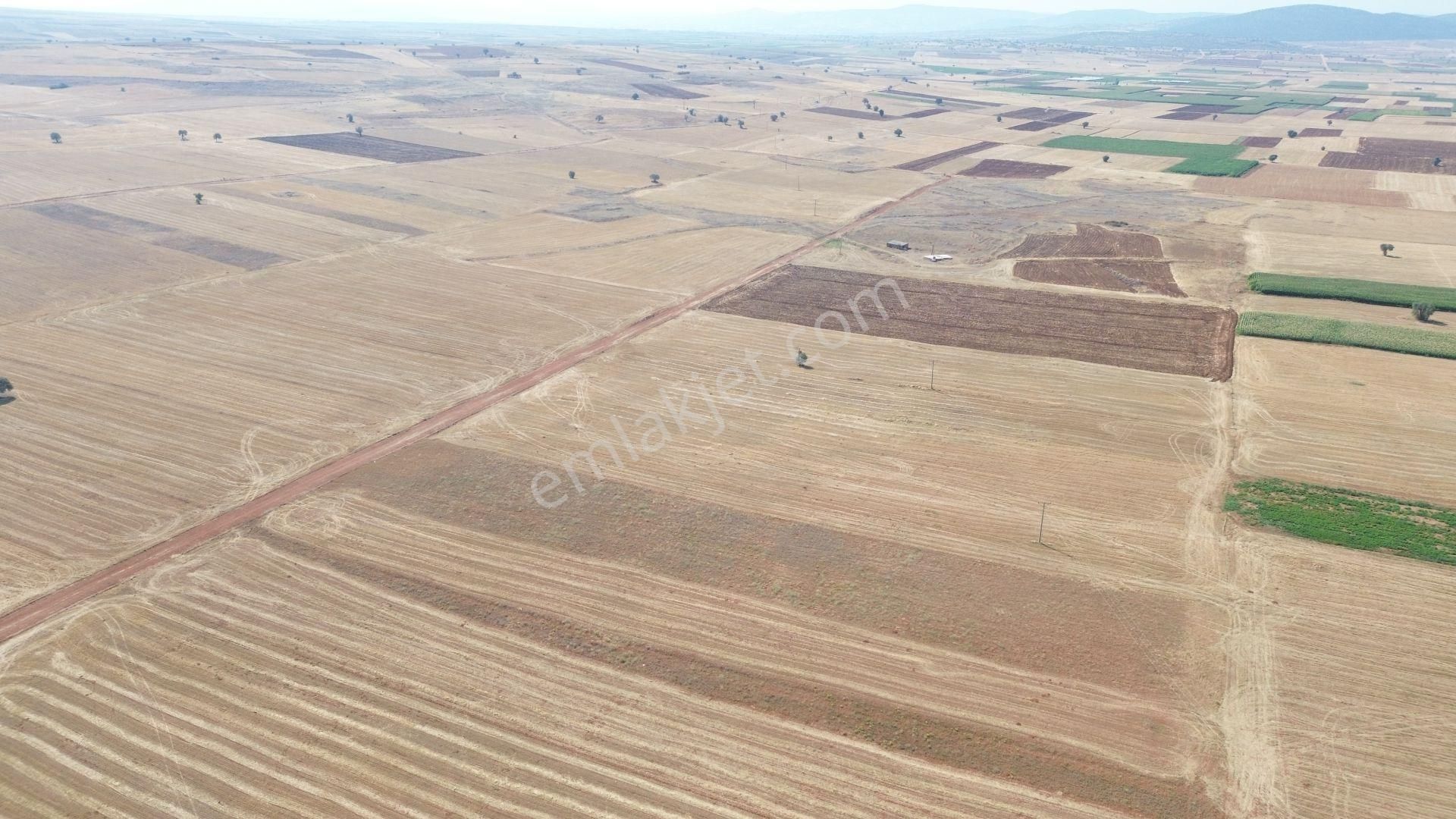 sulanır Tarla 5450 M² / Konya / Akören / Hacılar - Görsel 7