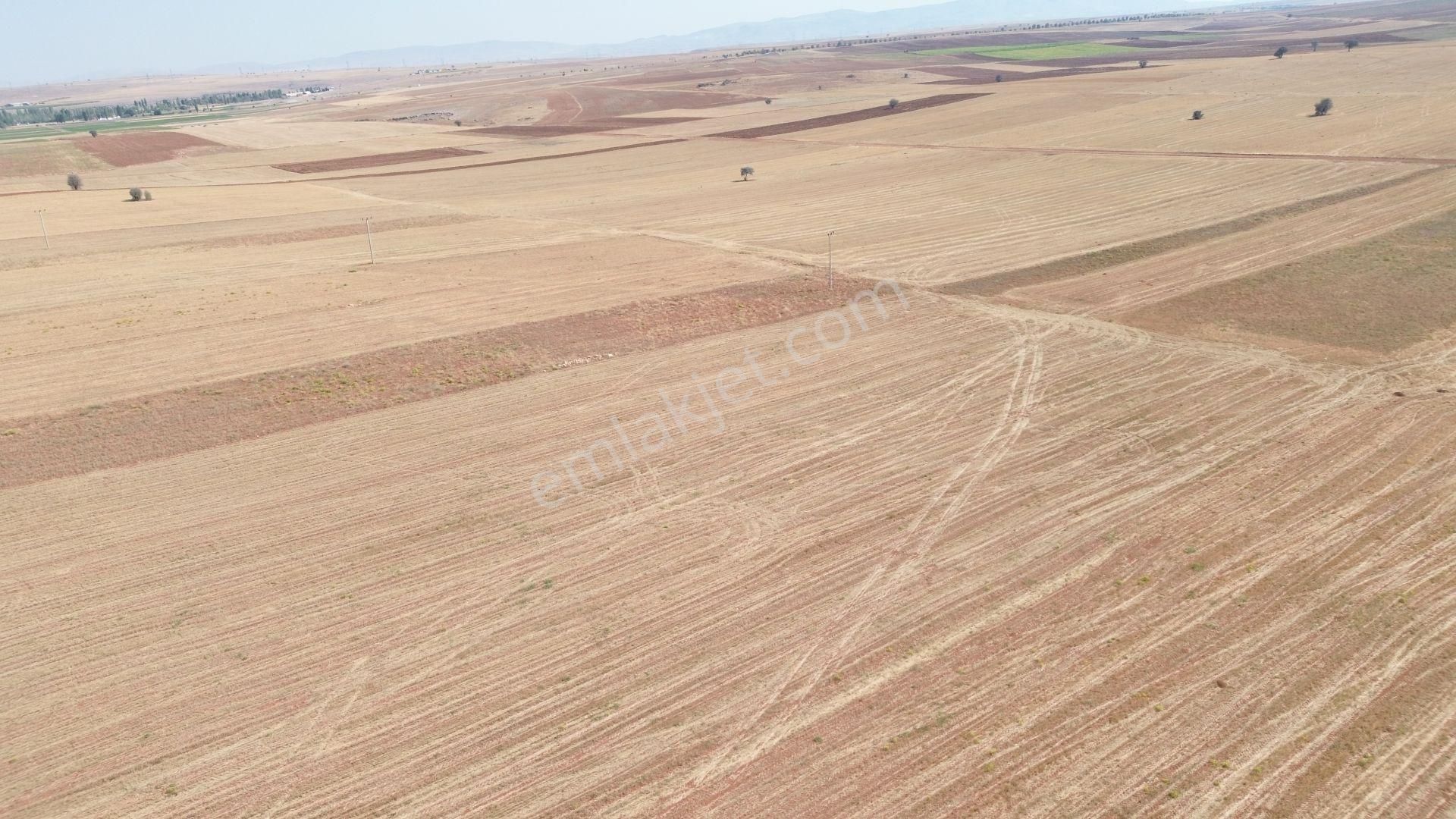 sulanır Tarla 5450 M² / Konya / Akören / Hacılar - Görsel 10