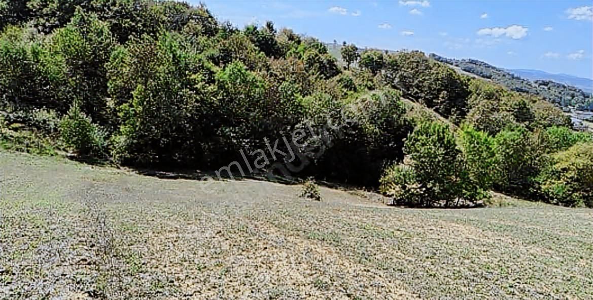 Tahtalı Göleti Manzaralı Satılık Arazi - Görsel 2
