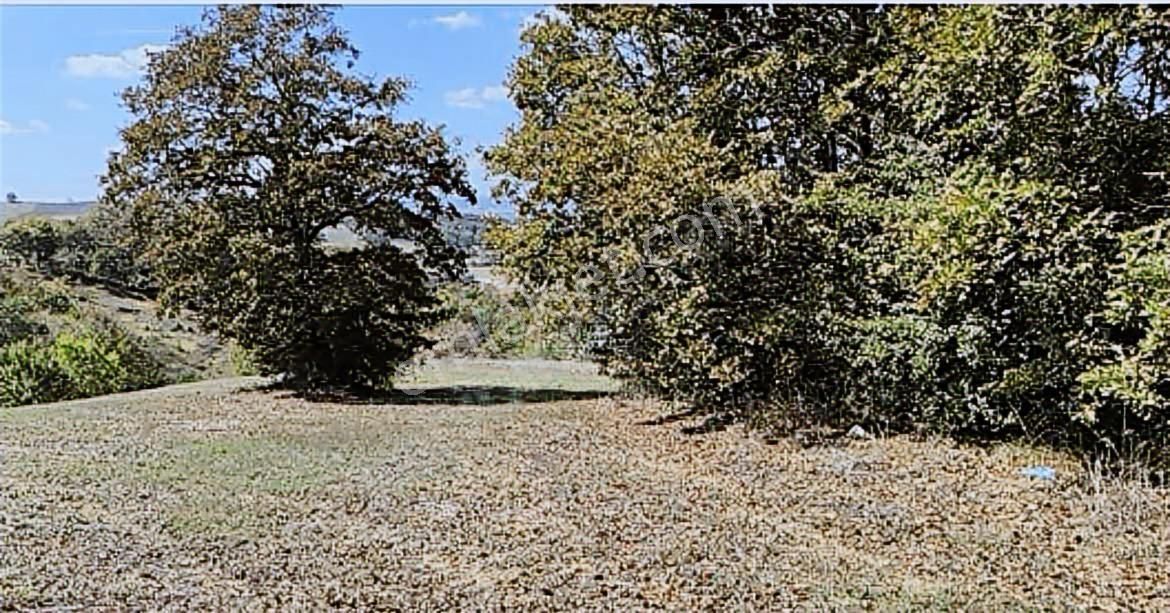 Tahtalı Göleti Manzaralı Satılık Arazi - Görsel 7