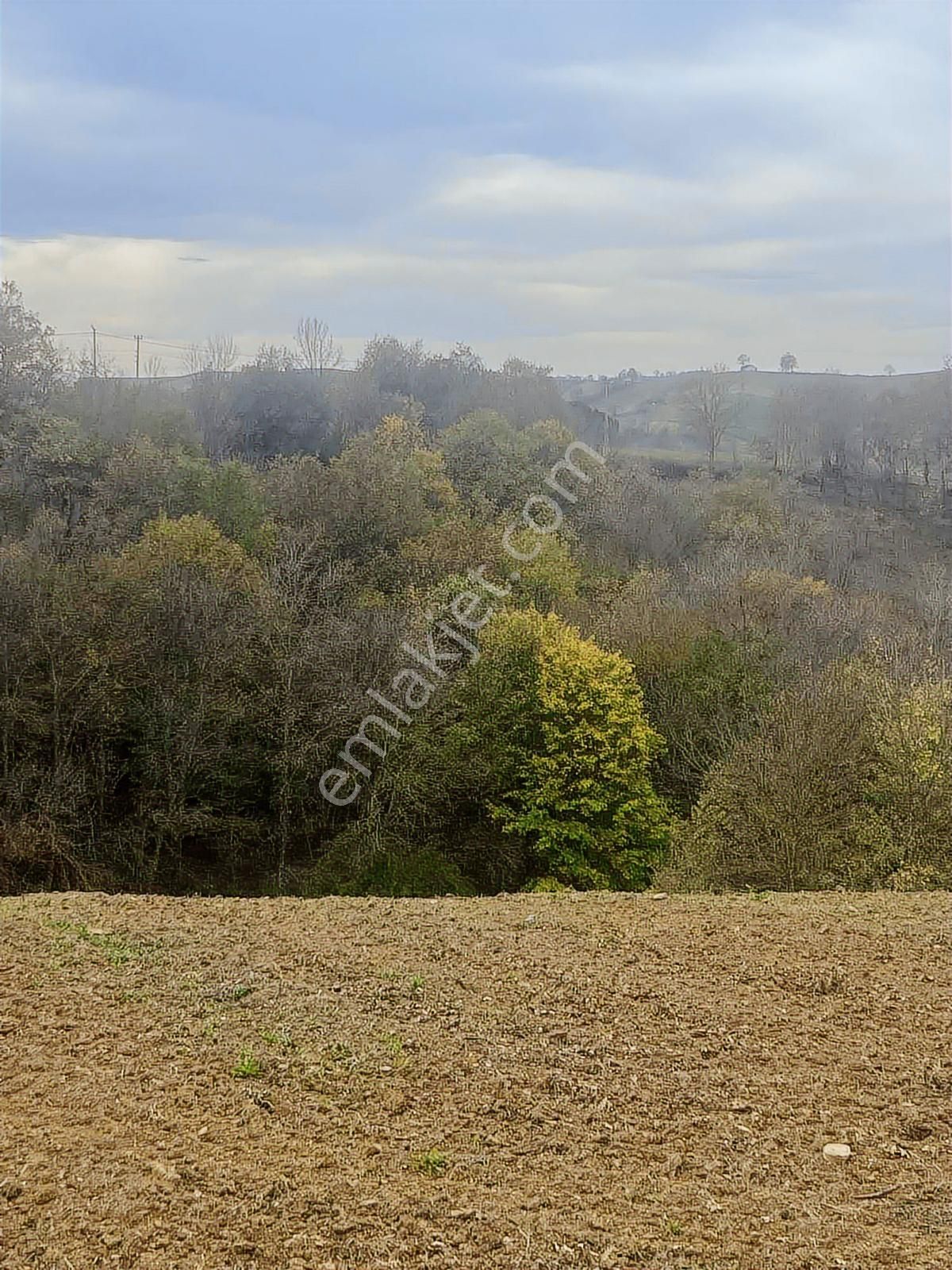 Tahtalı Göleti Manzaralı Satılık Arazi - Görsel 4