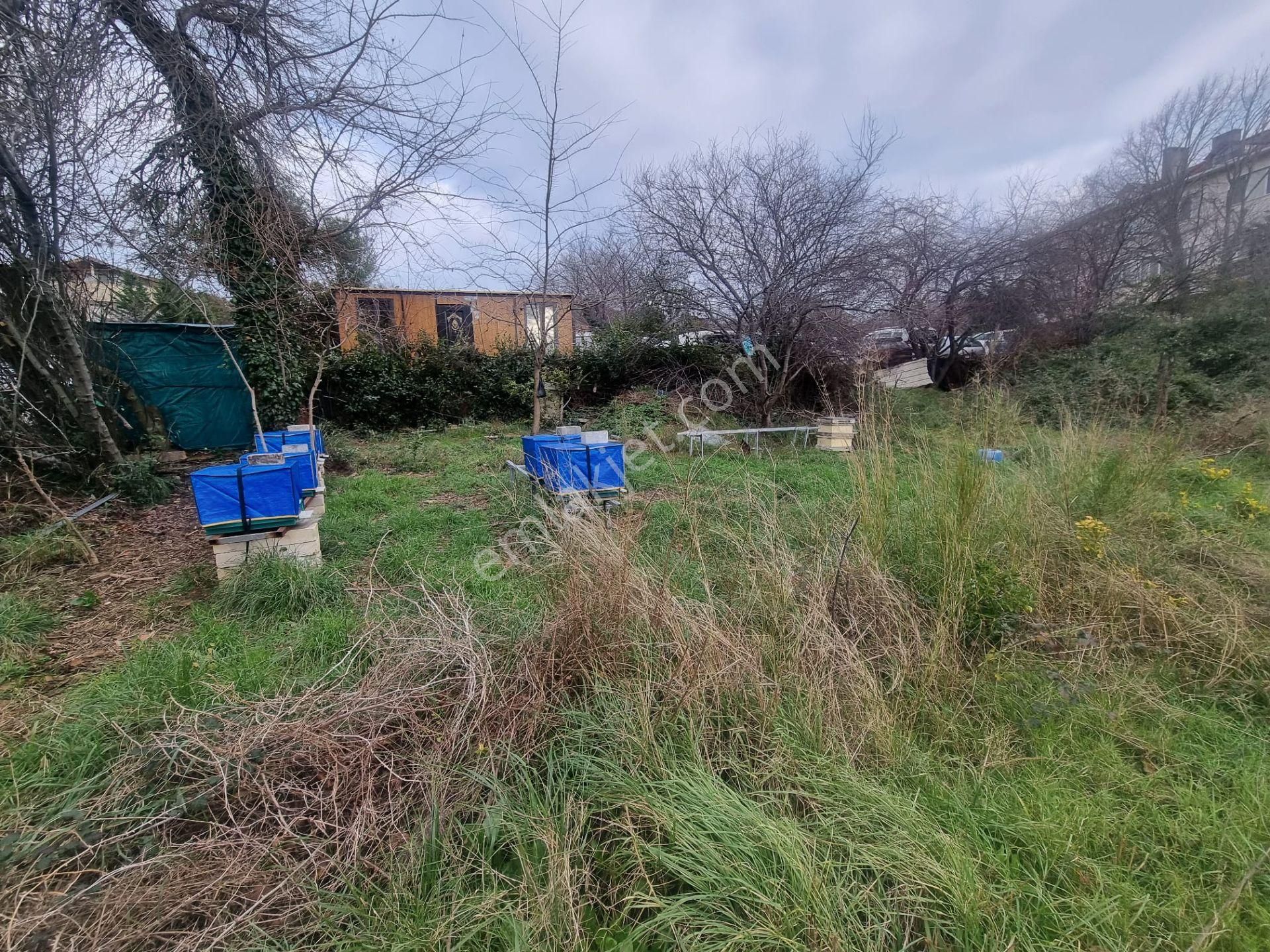Sarıyer Yeniköy Perakendeler Mevki 1085m Müstakil Tapulu Arsa - Görsel 16