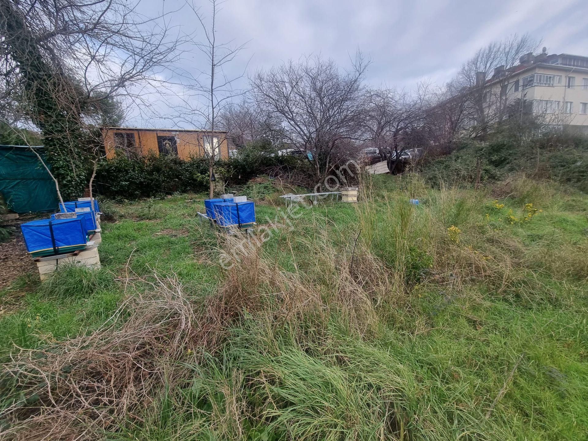 Sarıyer Yeniköy Perakendeler Mevki 1085m Müstakil Tapulu Arsa - Görsel 13