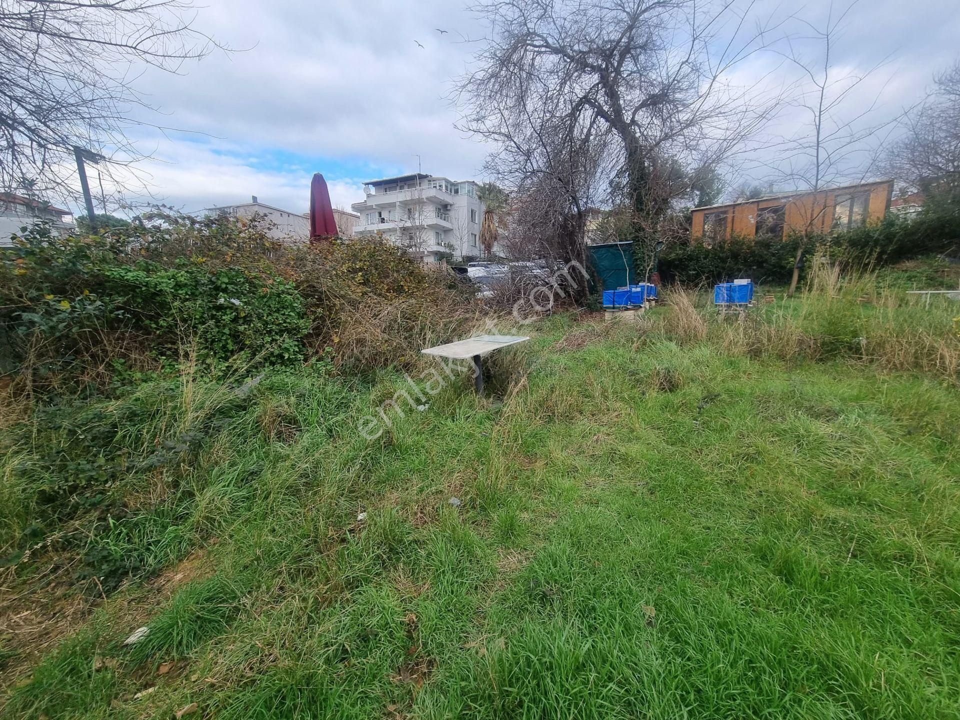 Sarıyer Yeniköy Perakendeler Mevki 1085m Müstakil Tapulu Arsa - Görsel 4