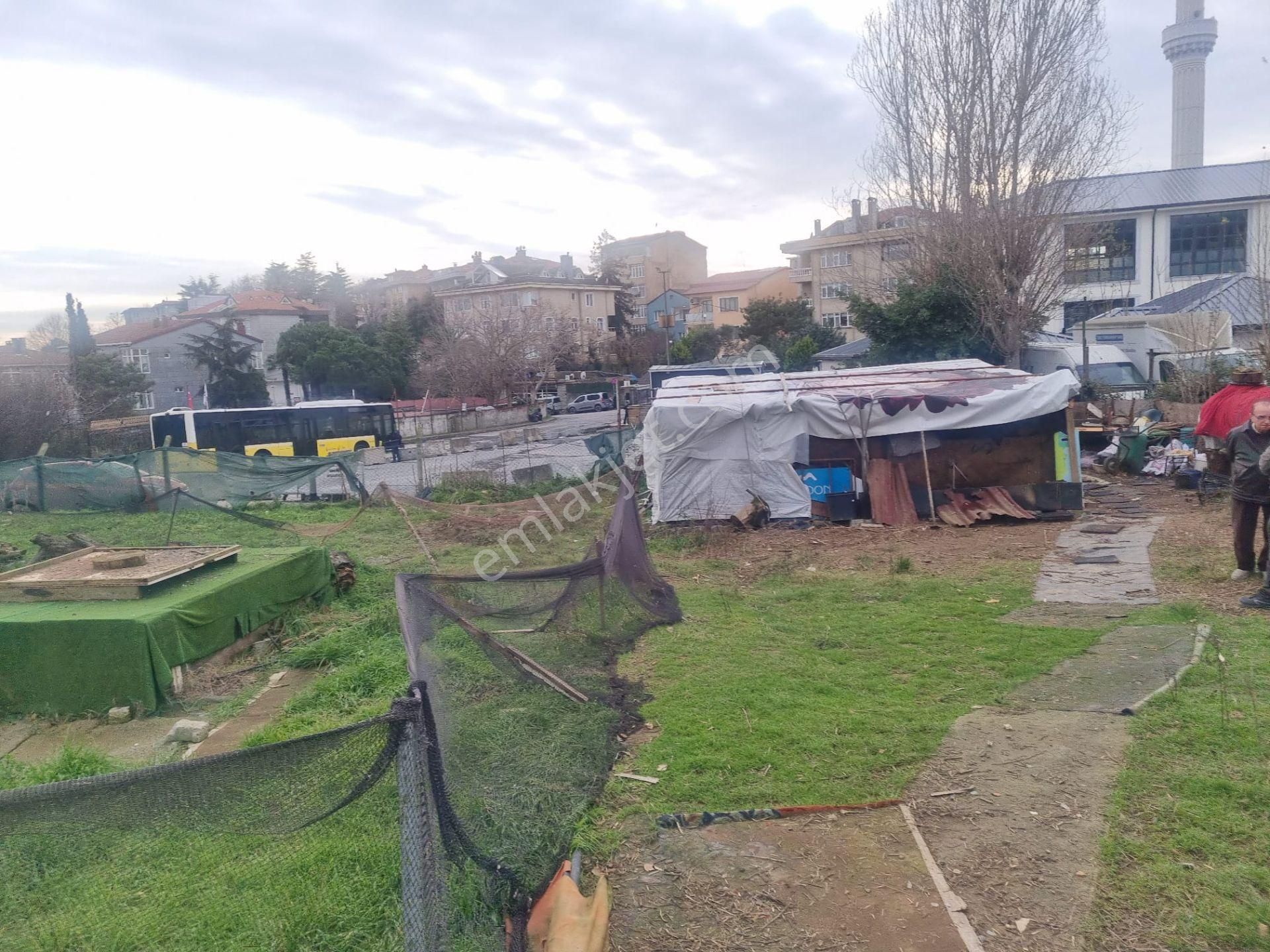 Sarıyer Yeniköy Perakendeler Mevki 1085m Müstakil Tapulu Arsa - Görsel 12