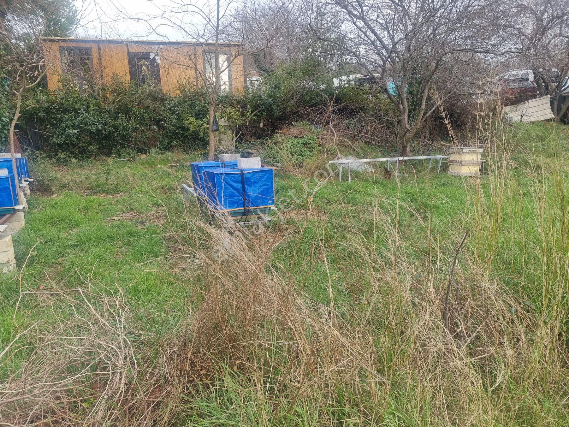 Sarıyer Yeniköy Perakendeler Mevki 1085m Müstakil Tapulu Arsa - Görsel 18