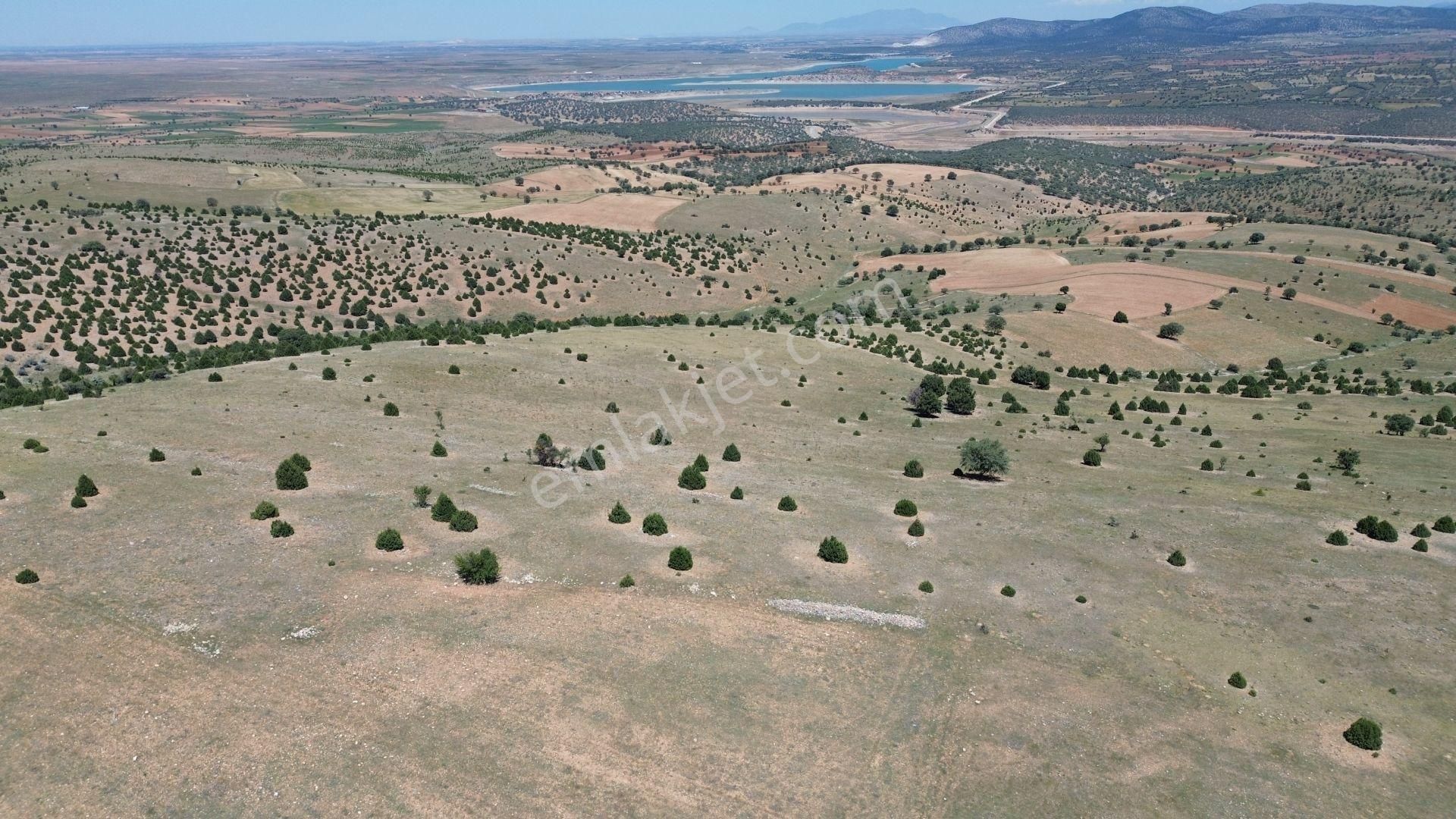 Konya / Akören / Belkuyu 4.949 M² Hesaplı Satılık Tarla - Görsel 5