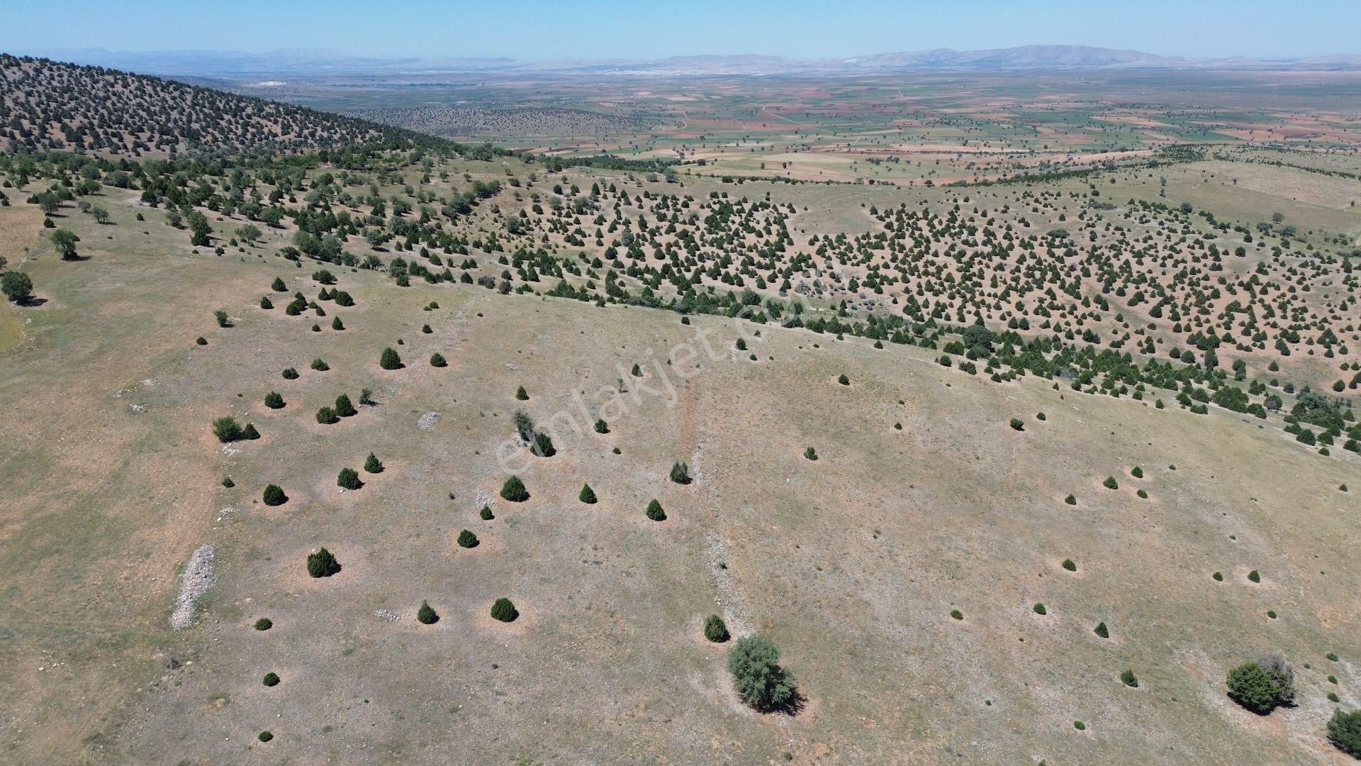 Konya / Akören / Belkuyu 4.949 M² Hesaplı Satılık Tarla - Görsel 4